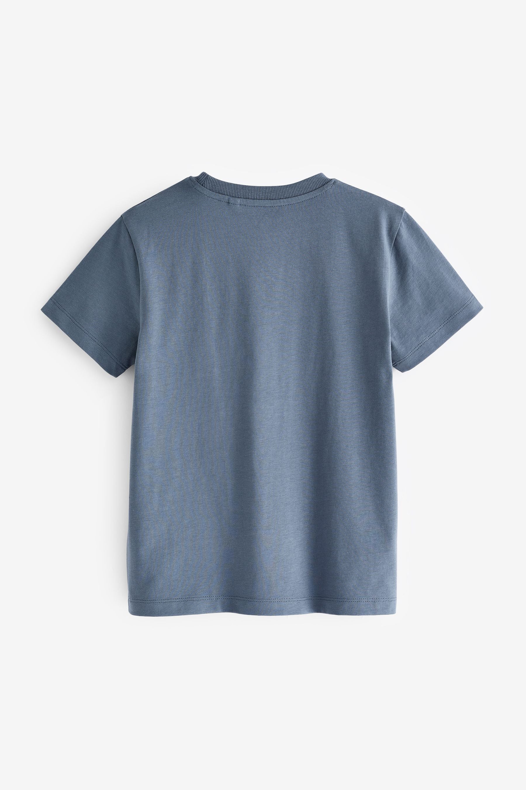 Blue Dusky Regular Fit Short Sleeve T-Shirt (3-16yrs)