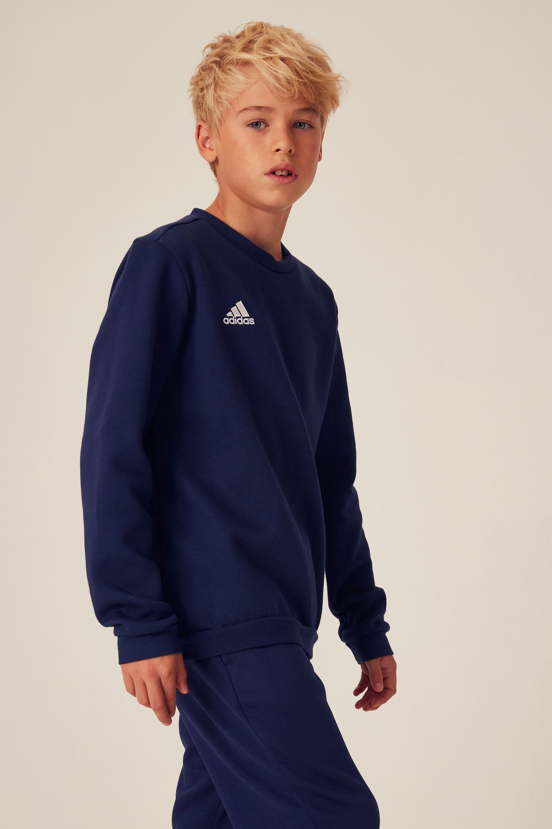 adidas Blue Entrada 22 Sweatshirt