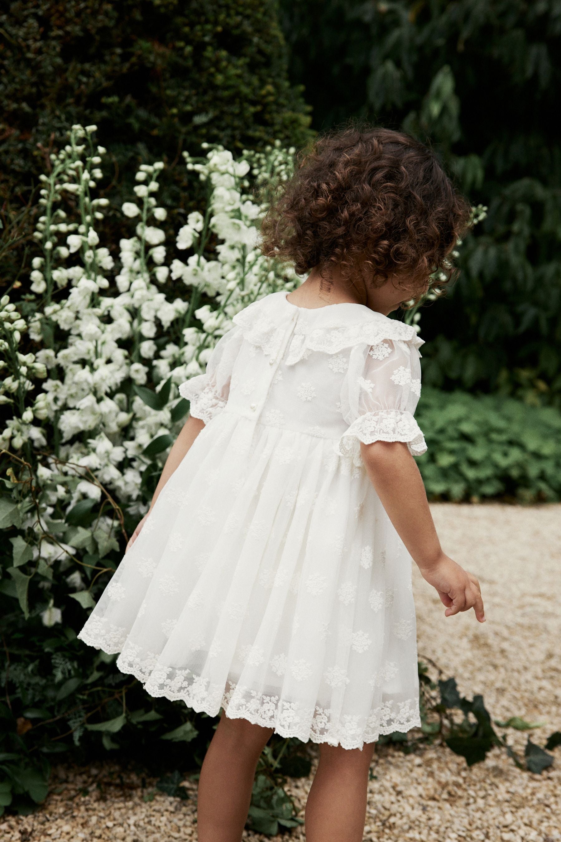 Ivory Lace Occasion Dress (3mths-8yrs)