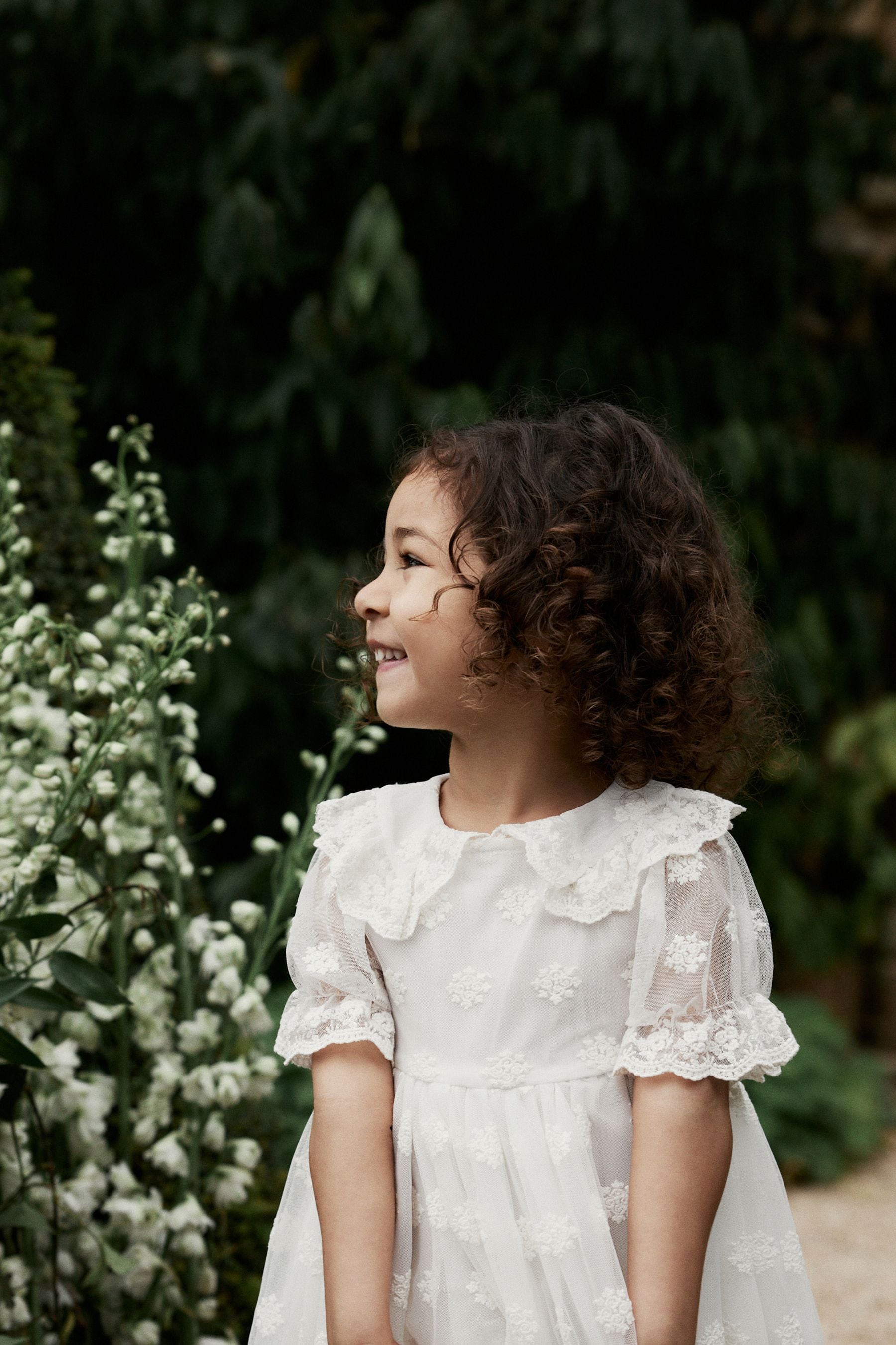 Ivory Lace Occasion Dress (3mths-8yrs)