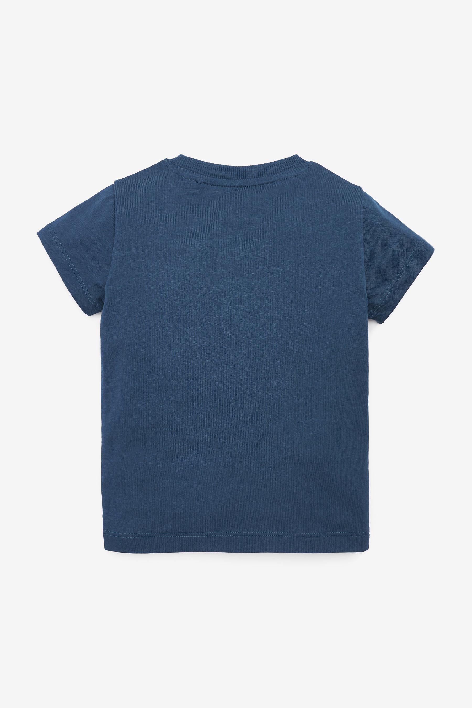 Blue 100% Cotton Short Sleeve T-Shirts 5 Pack (3mths-7yrs)