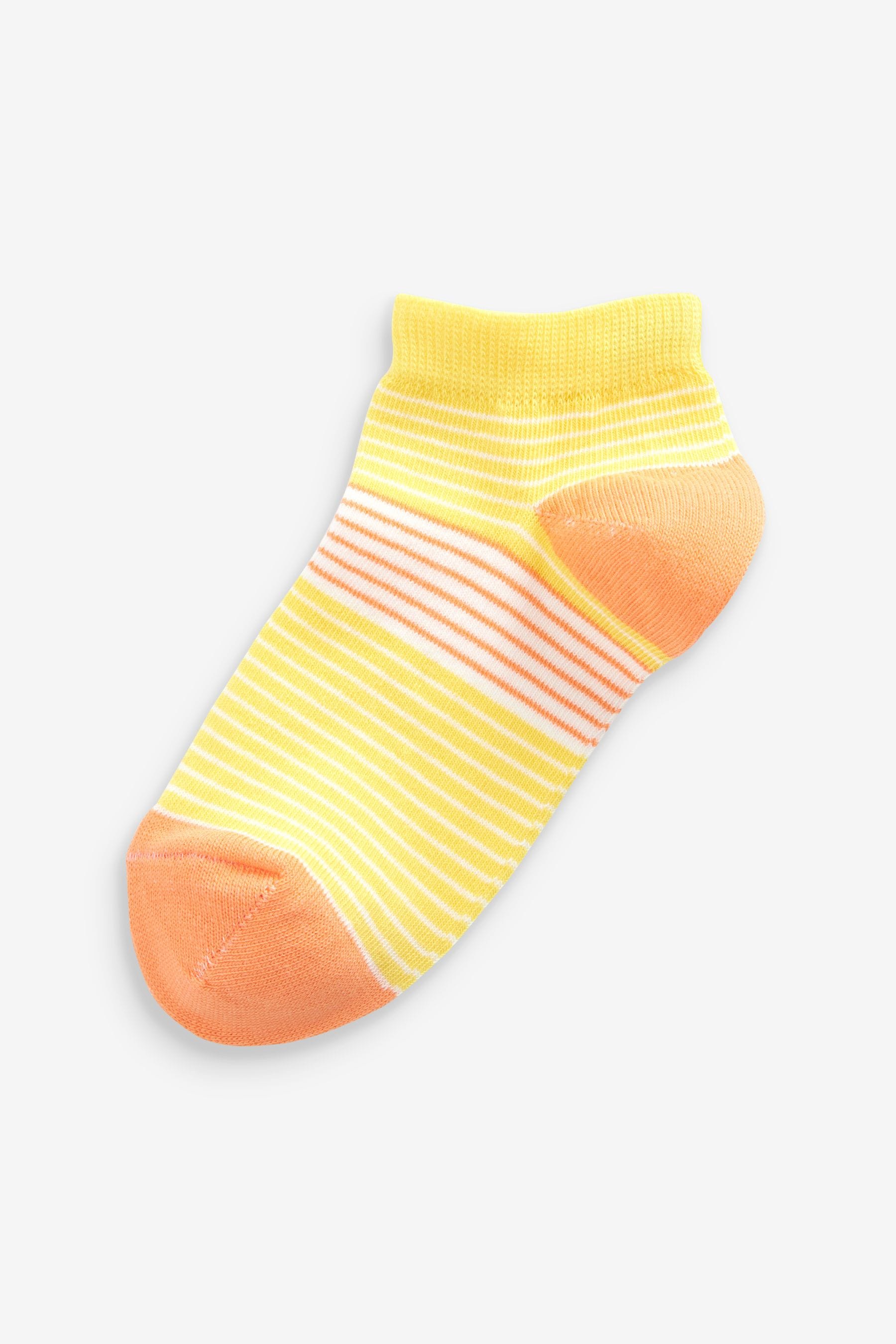 Multi 5 Pack Cotton Rich Stripe Trainer Socks