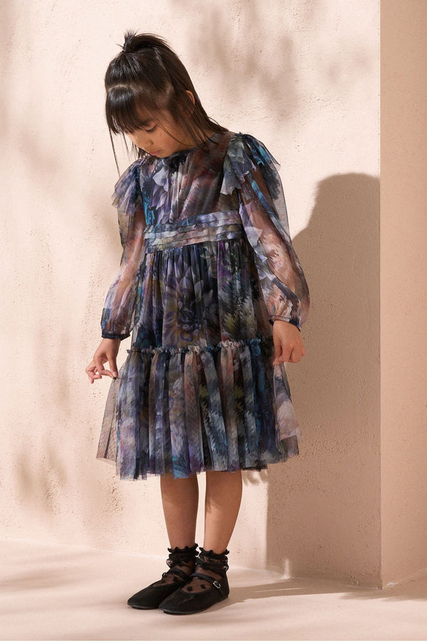 Angel & Rocket Blue Alessia Floral Print Mesh Dress