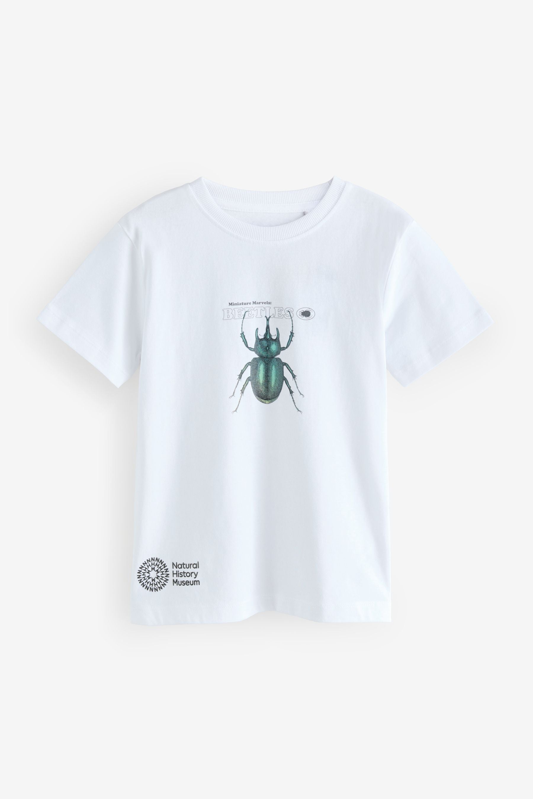 White Beetles Natural History Museum Short Sleeve 100% Cotton T-Shirt (3-16yrs)