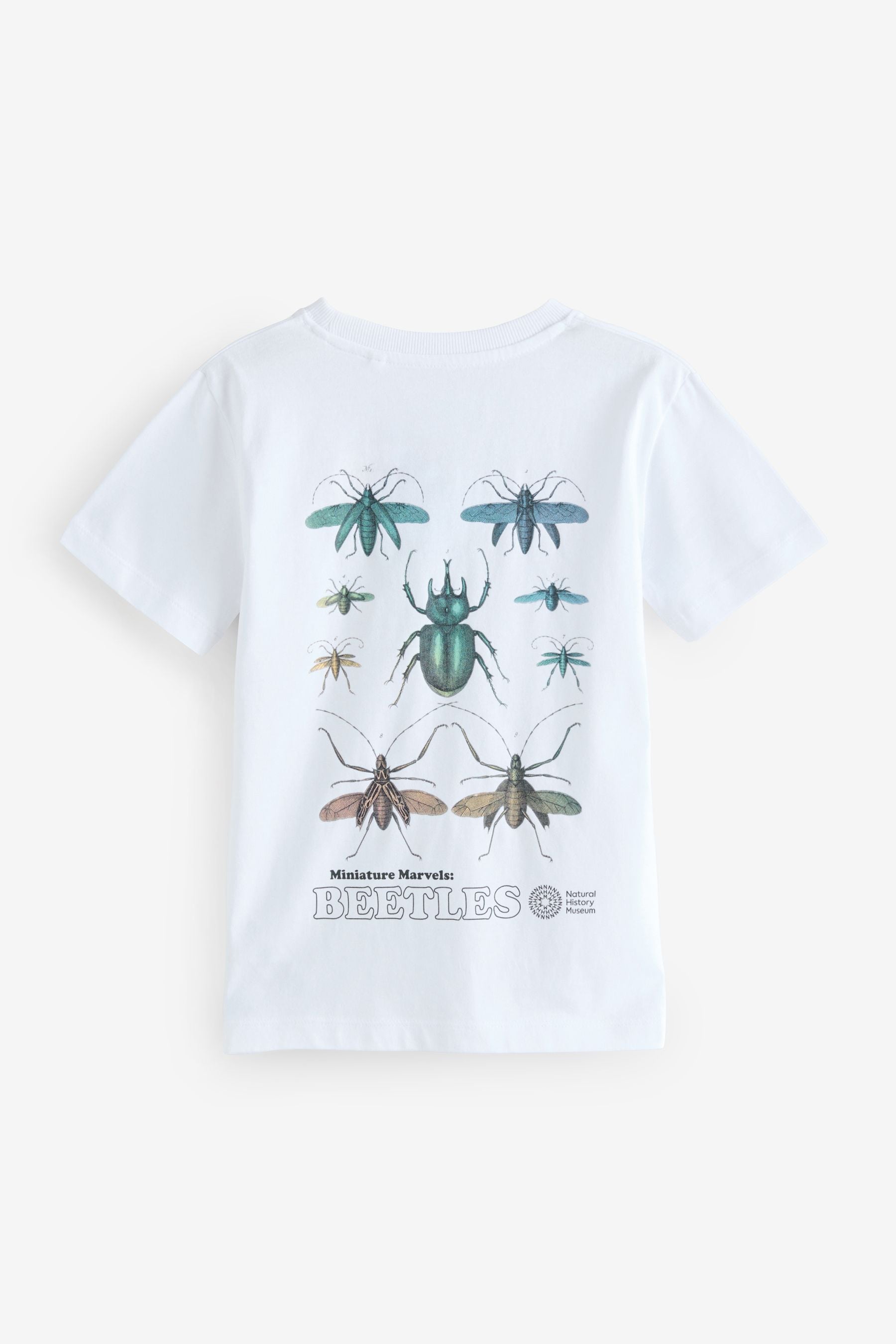 White Beetles Natural History Museum Short Sleeve 100% Cotton T-Shirt (3-16yrs)