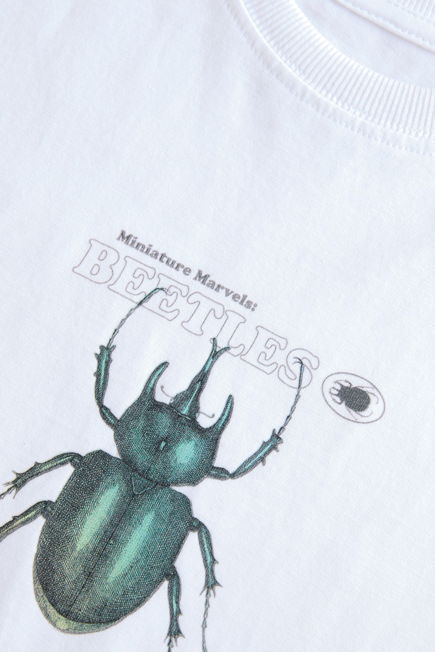 White Beetles Natural History Museum Short Sleeve 100% Cotton T-Shirt (3-16yrs)