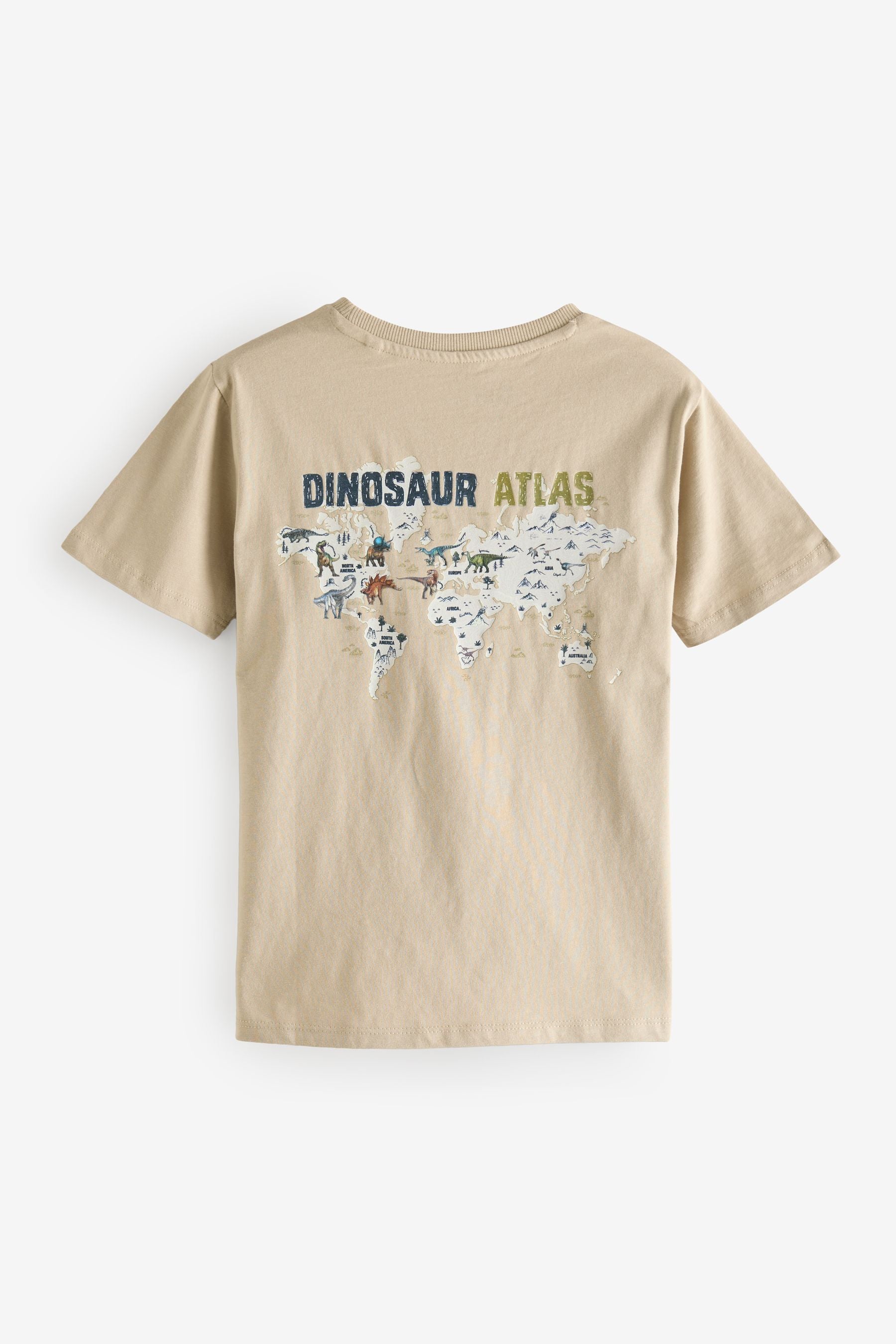 Stone Natural History Museum Short Sleeve 100% Cotton T-Shirt (3-16yrs)