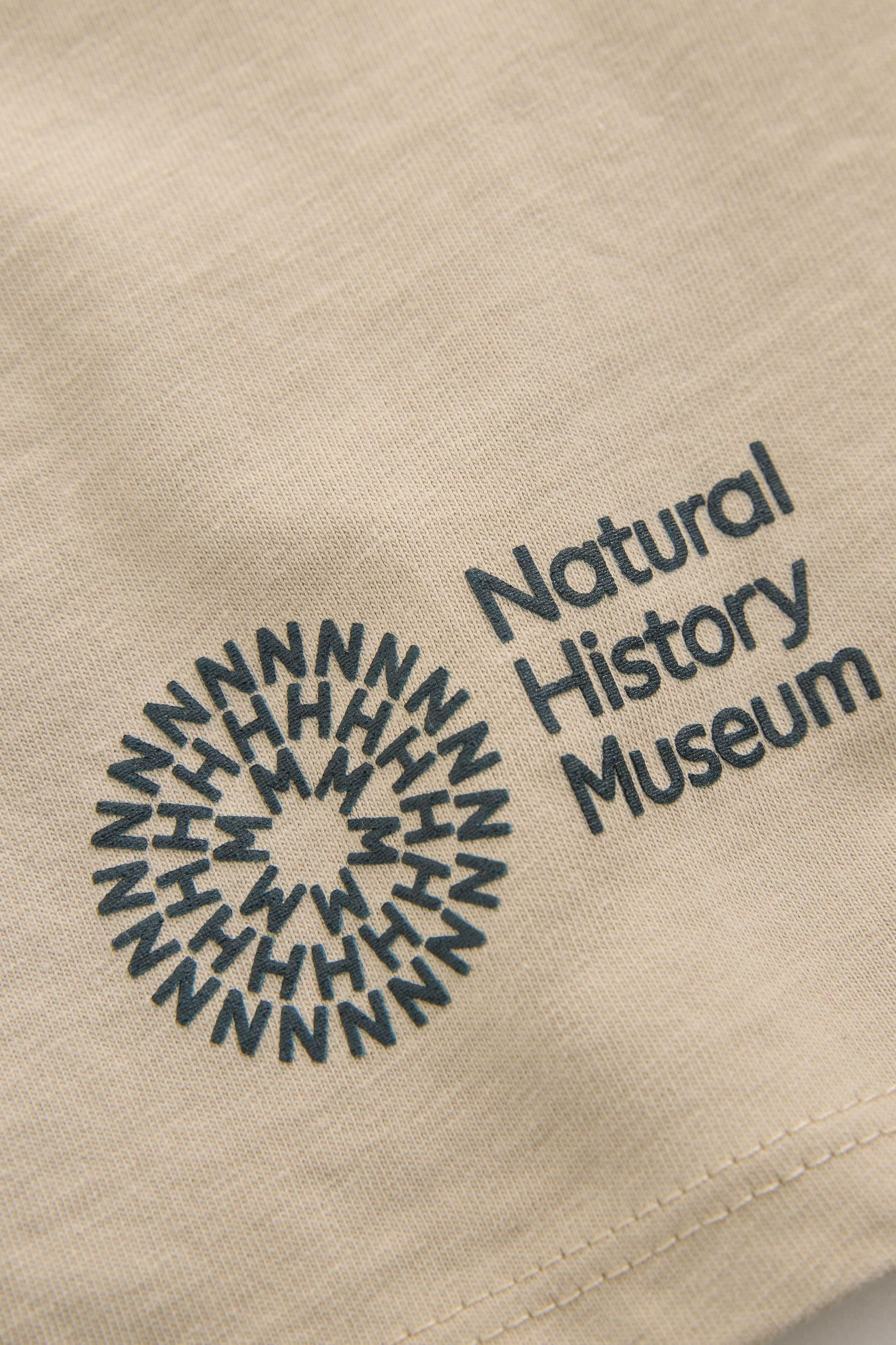 Stone Natural History Museum Short Sleeve 100% Cotton T-Shirt (3-16yrs)