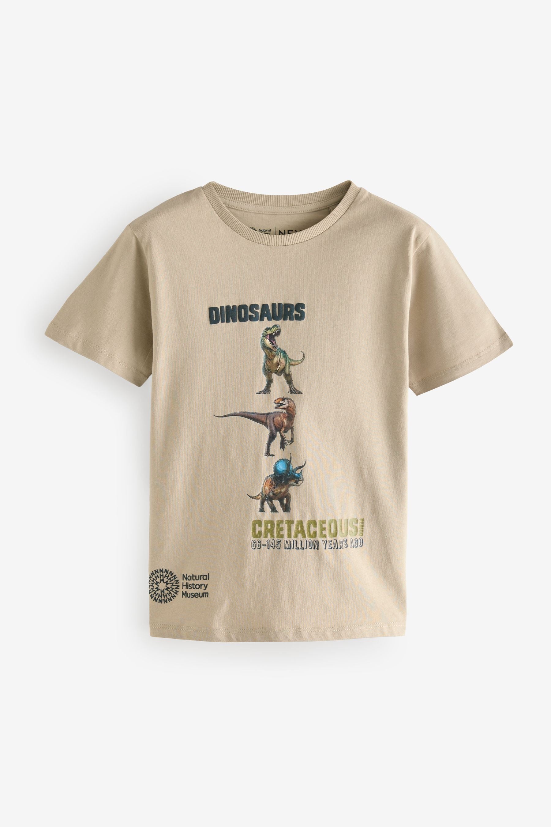 Stone Natural History Museum Short Sleeve 100% Cotton T-Shirt (3-16yrs)