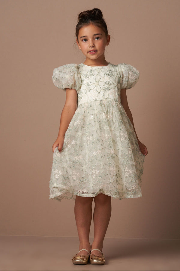 Angel & Rocket Green Eva Embellished Tulle Dress