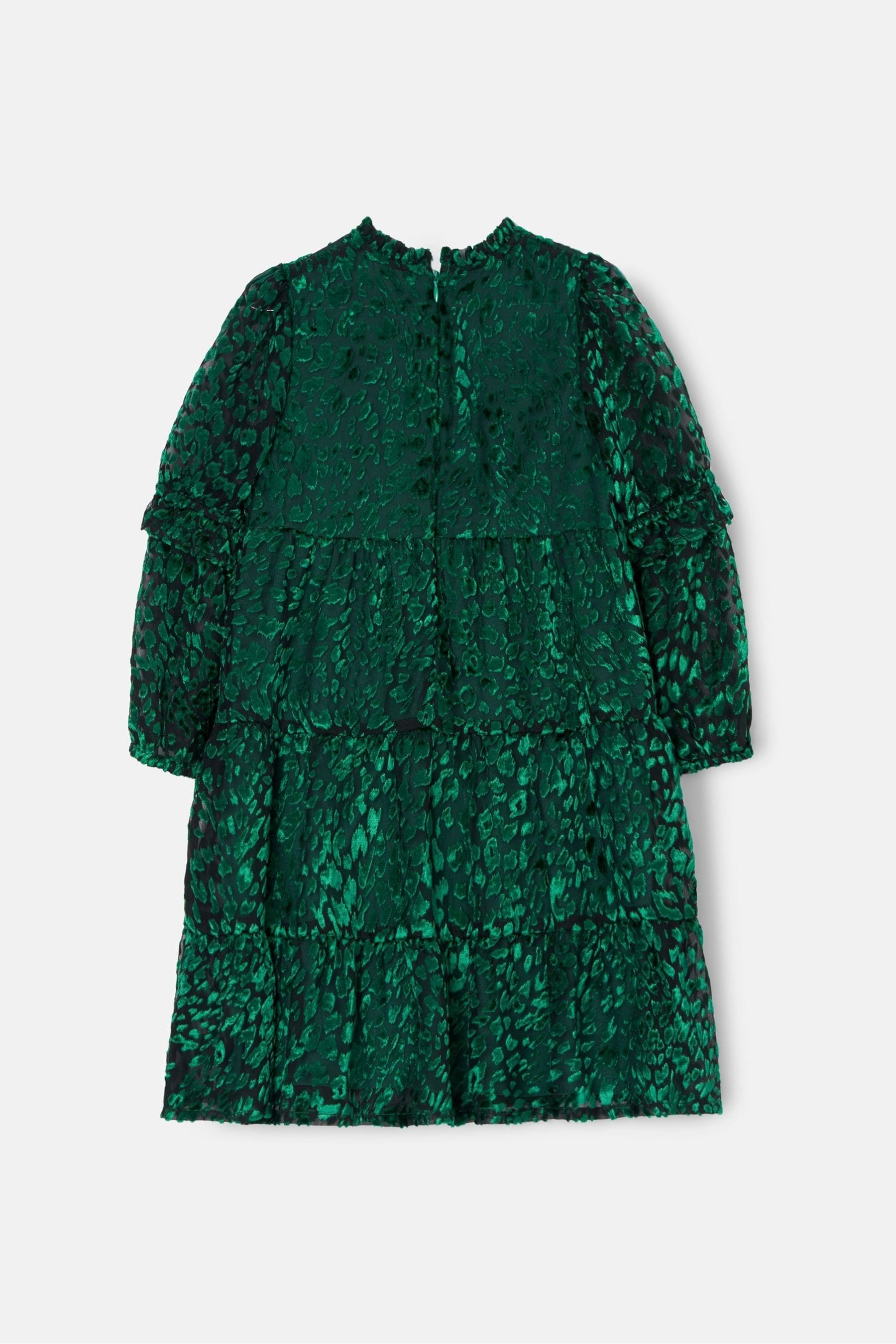 Green Angel & Rocket Poppy Devore Velvet Dress