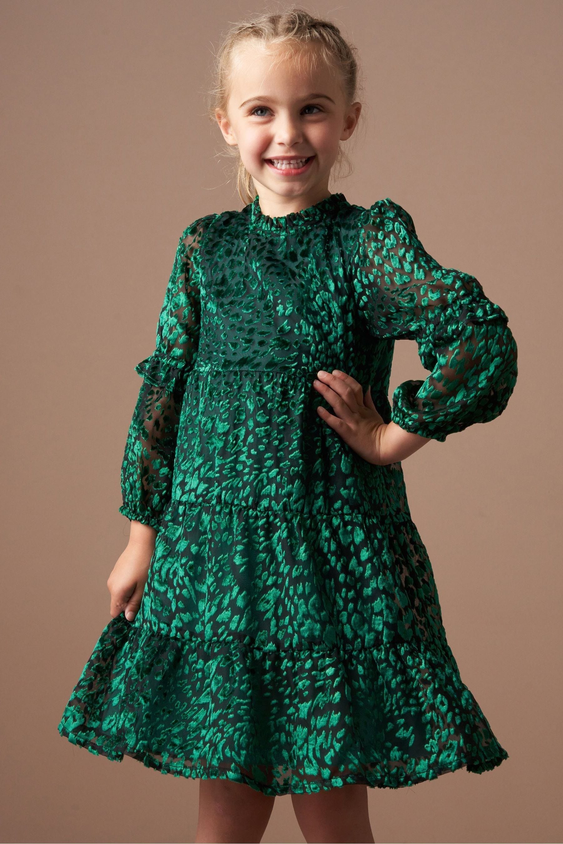 Green Angel & Rocket Poppy Devore Velvet Dress