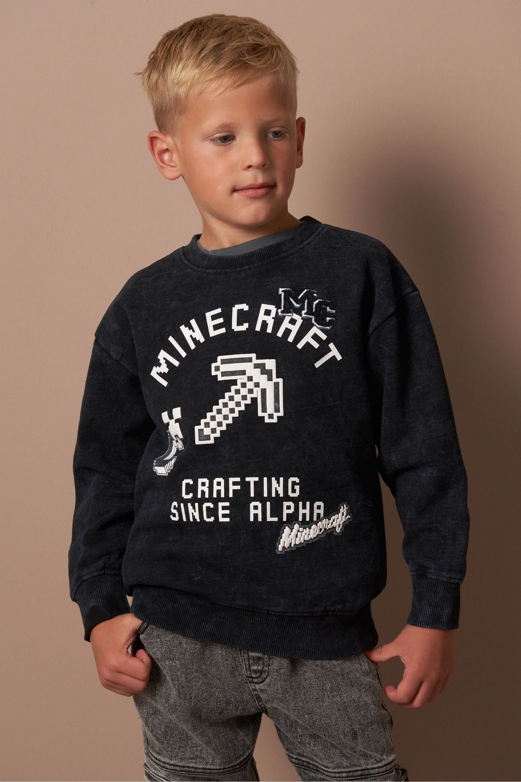 Angel & Rocket Grey Minecraft Graphic Washed Sweatshirt