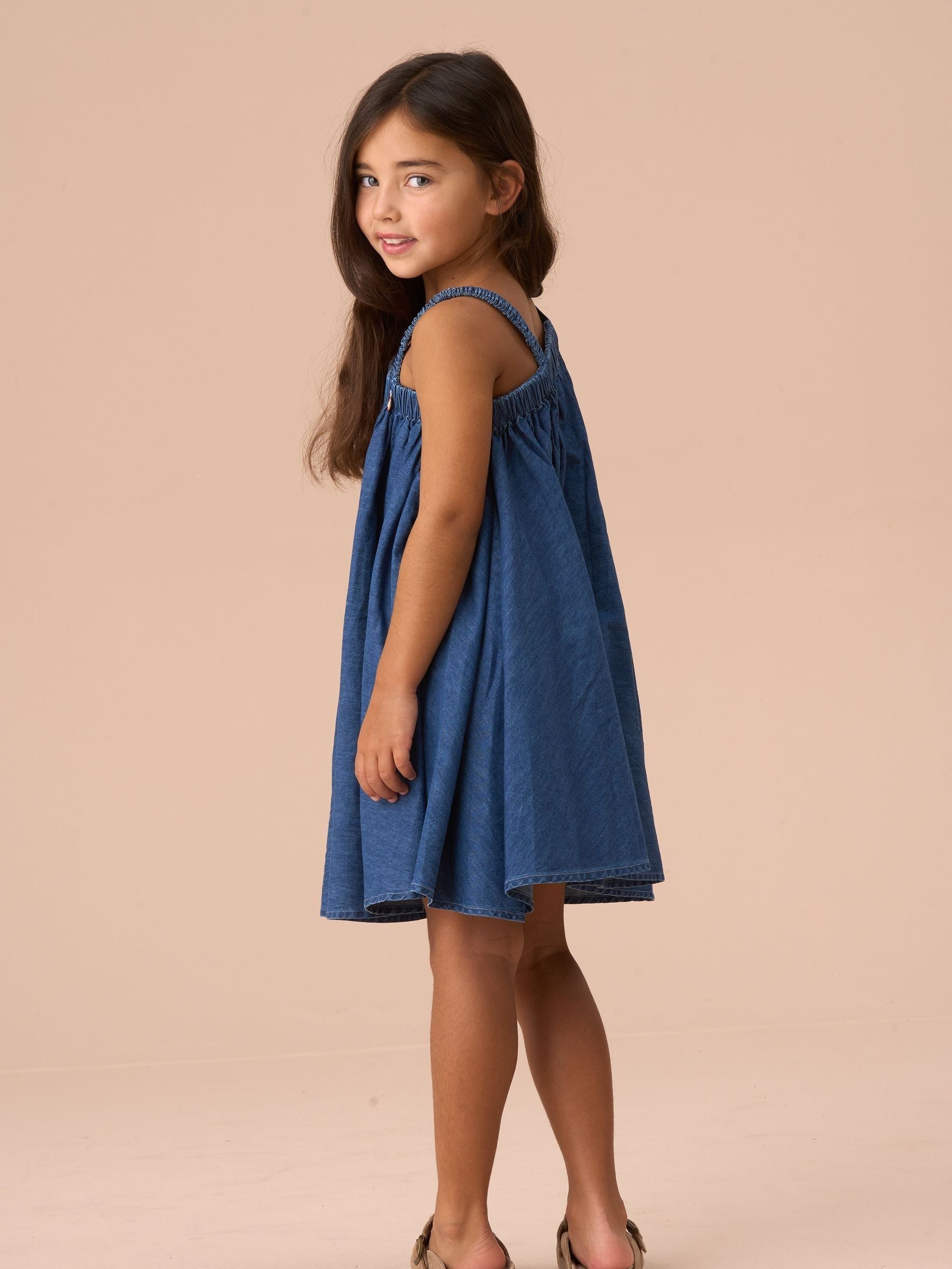 Angel & Rocket Blue Marnie Denim Corsage Swing 100% Cotton Dress