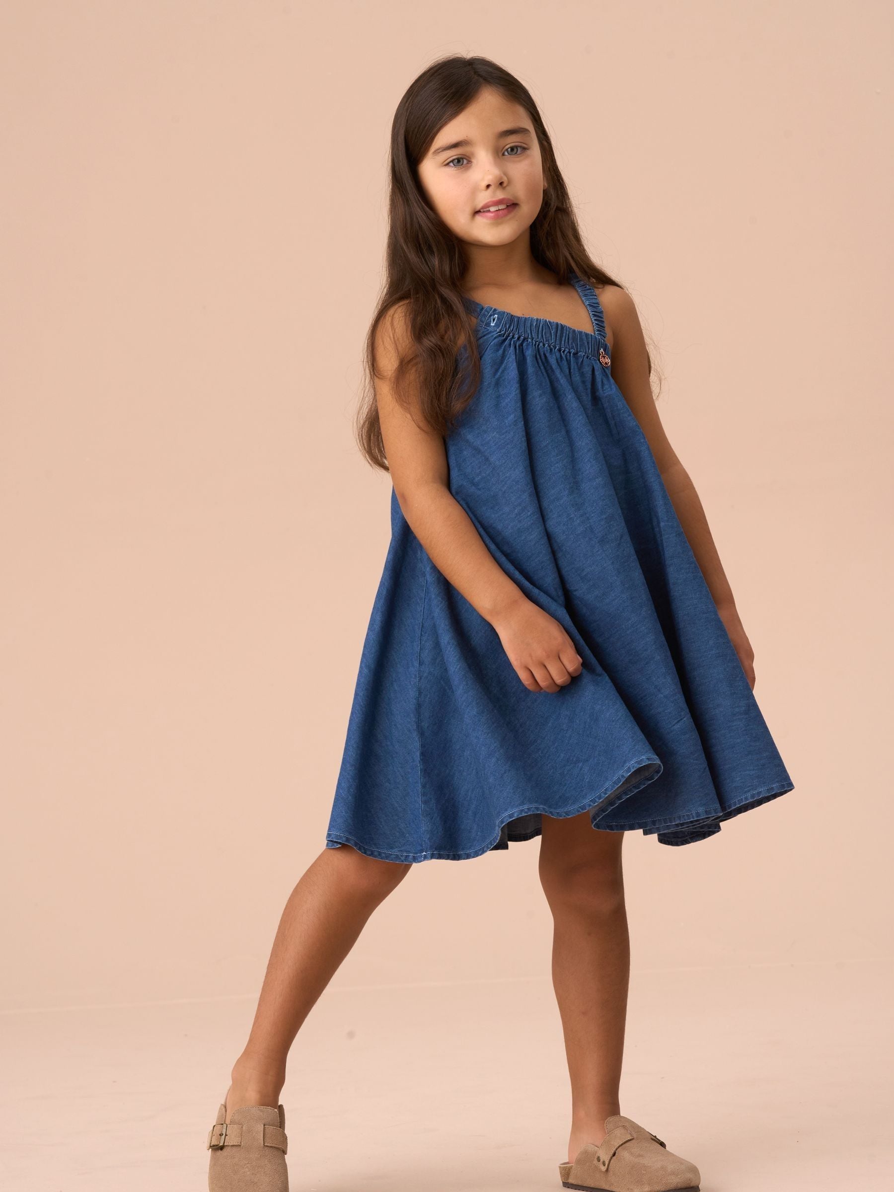 Angel & Rocket Blue Marnie Denim Corsage Swing 100% Cotton Dress