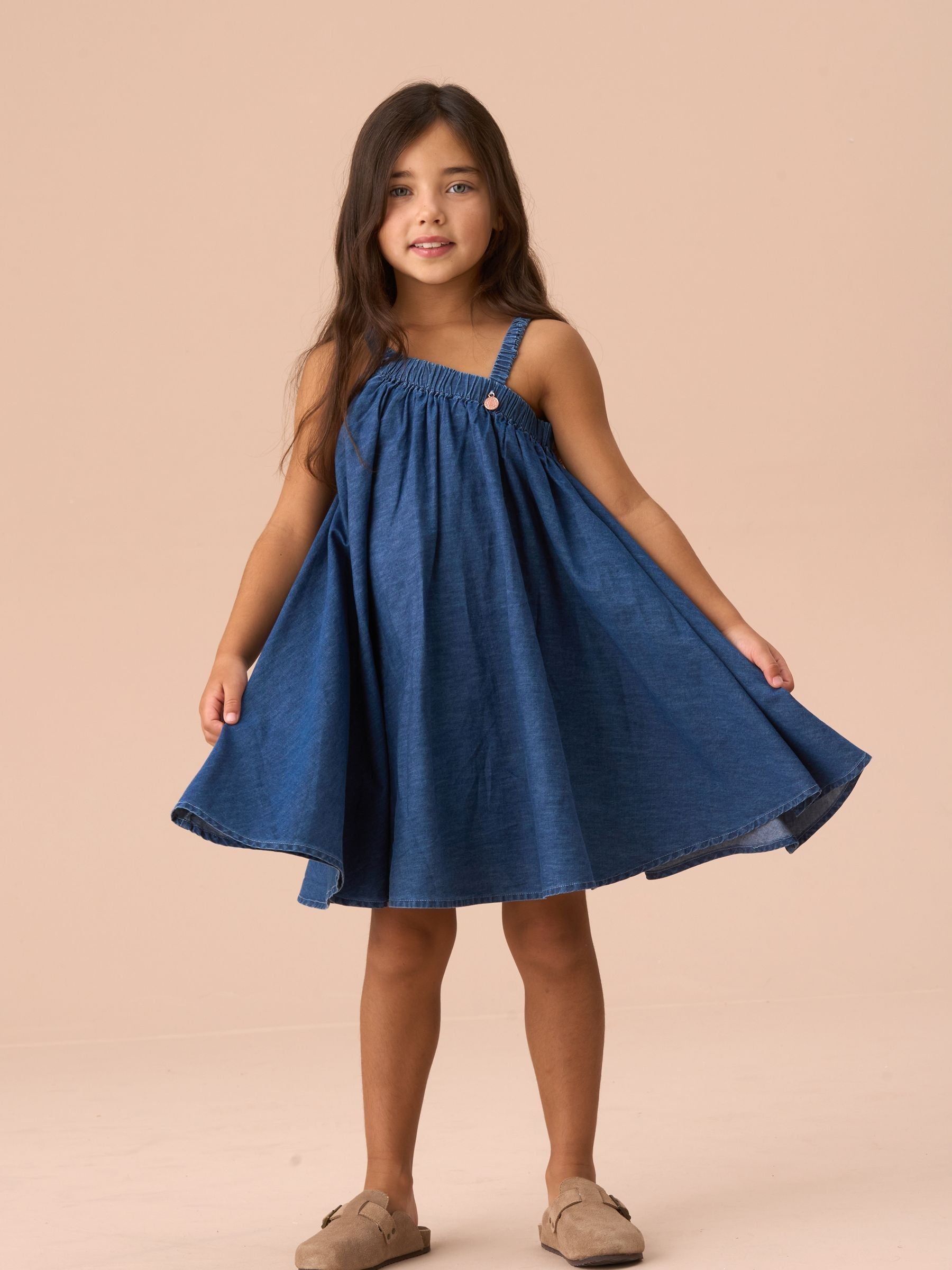 Angel & Rocket Blue Marnie Denim Corsage Swing 100% Cotton Dress