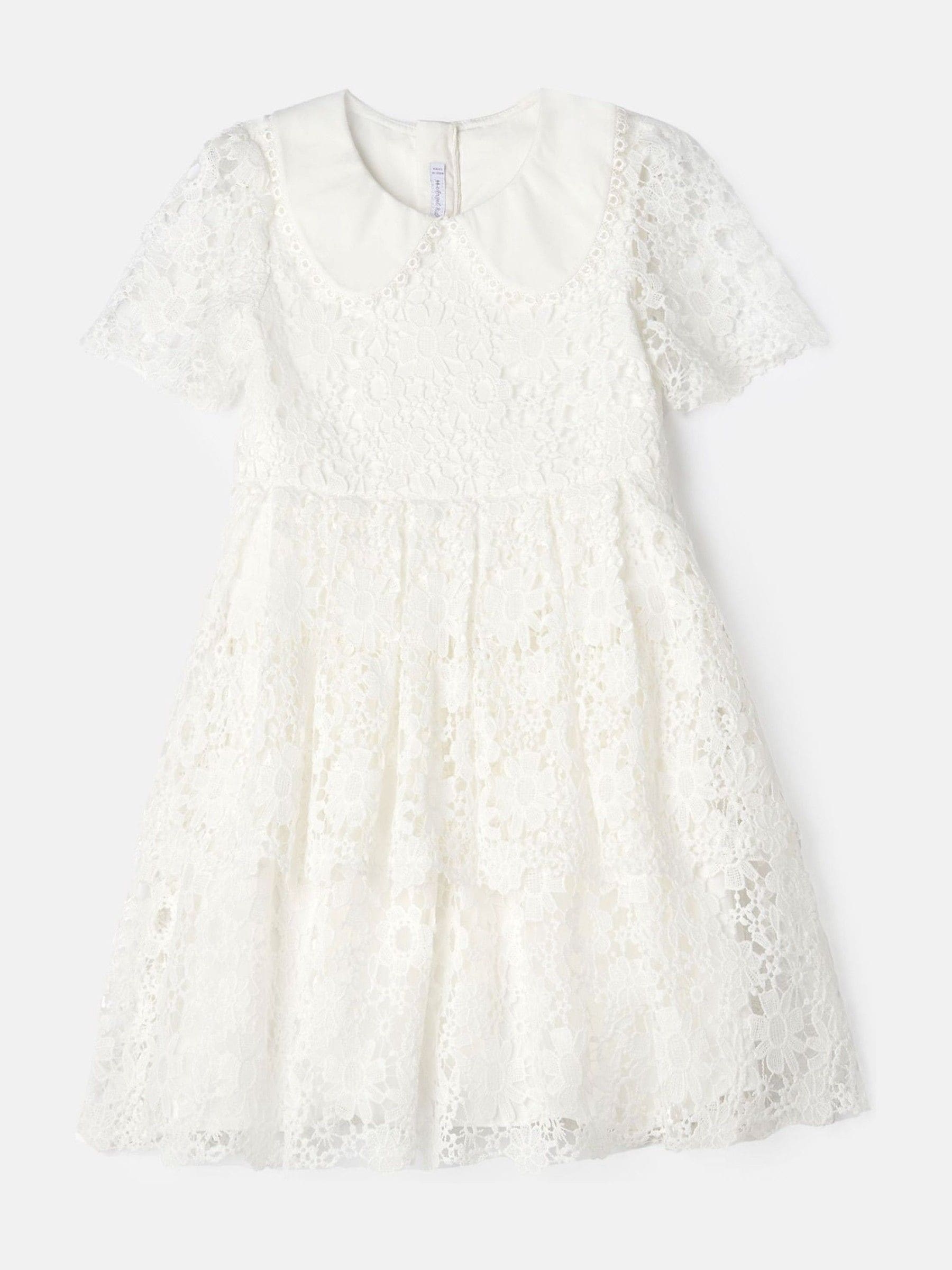 Angel & Rocket White Mavea Collared Lace Dress