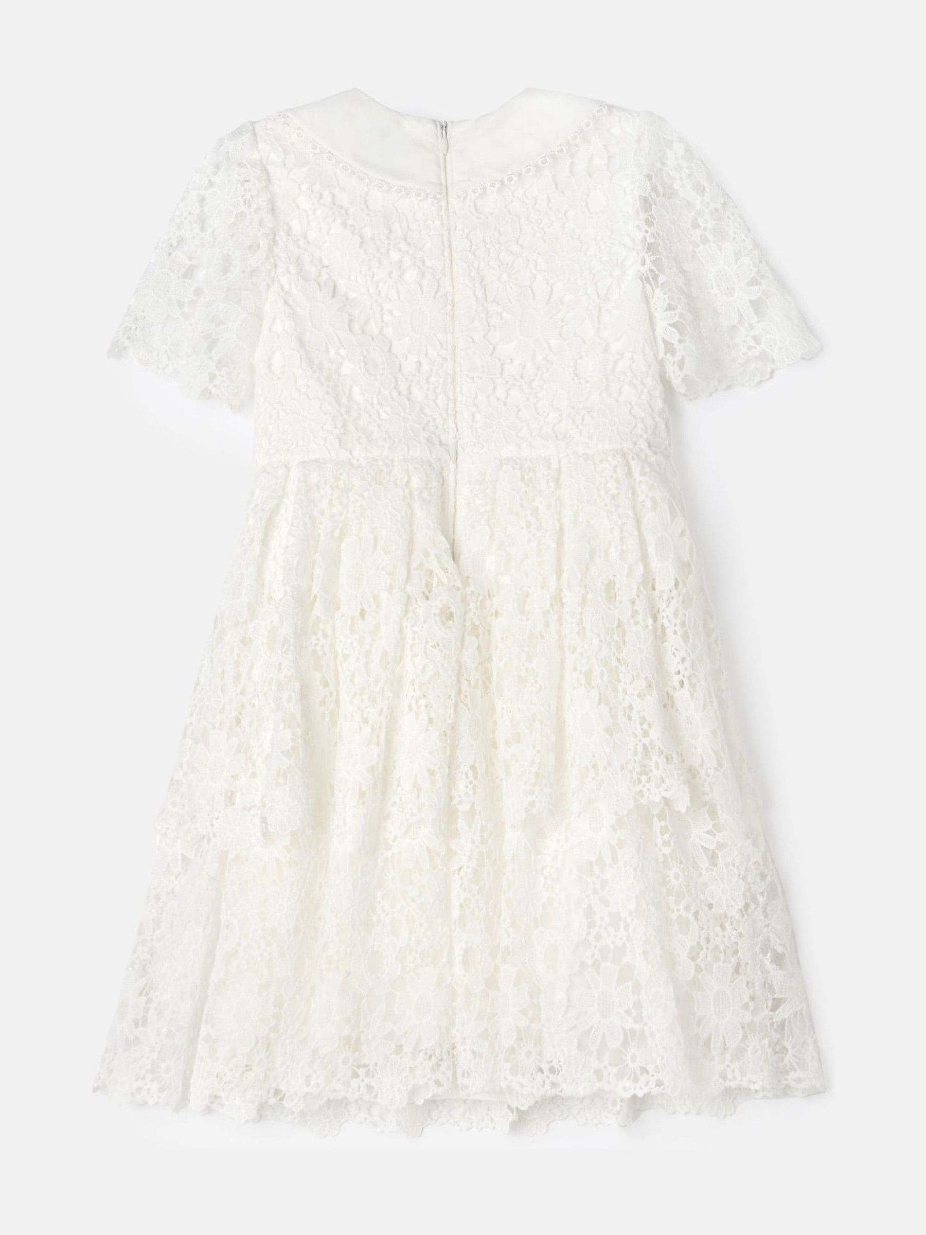 Angel & Rocket White Mavea Collared Lace Dress