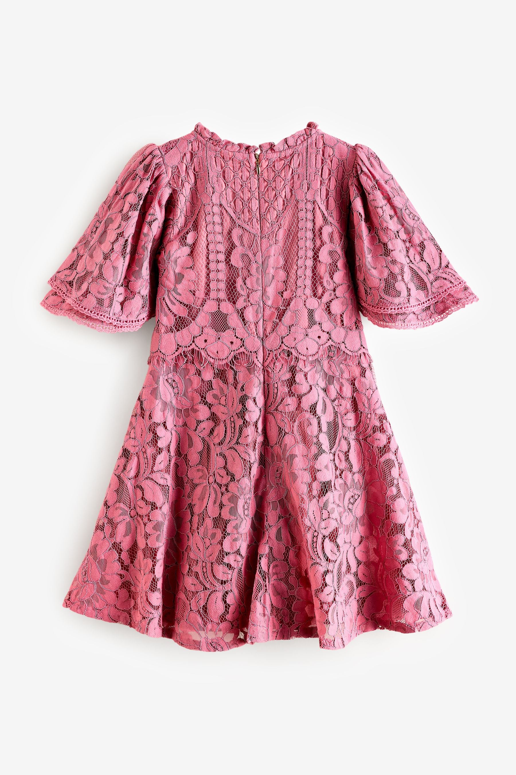 Baker by Ted Baker Lace Dress