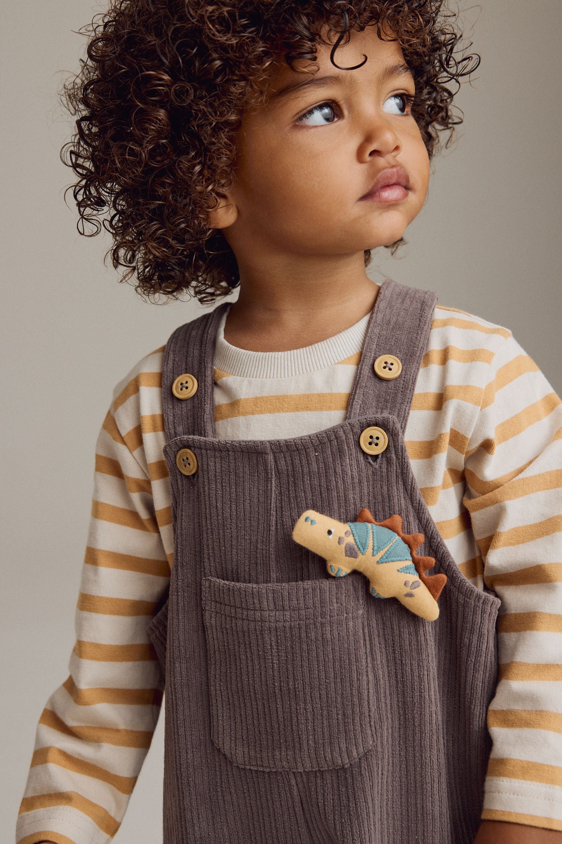 Mink Brown Corduroy Dungarees & Long Sleeve T-Shirt Set (3mths-7yrs)