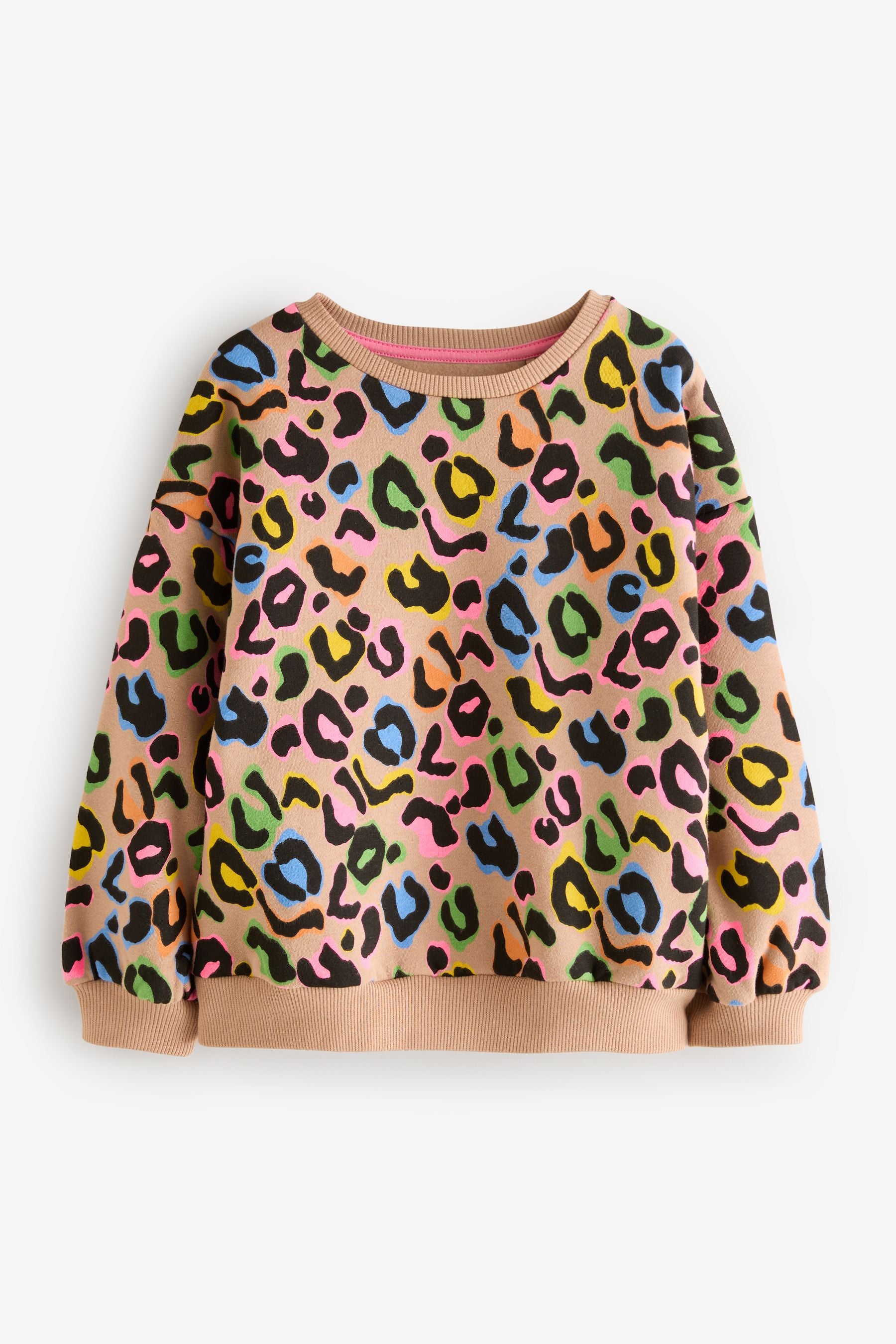 Animal Rainbow Sweatshirt (3-16yrs)