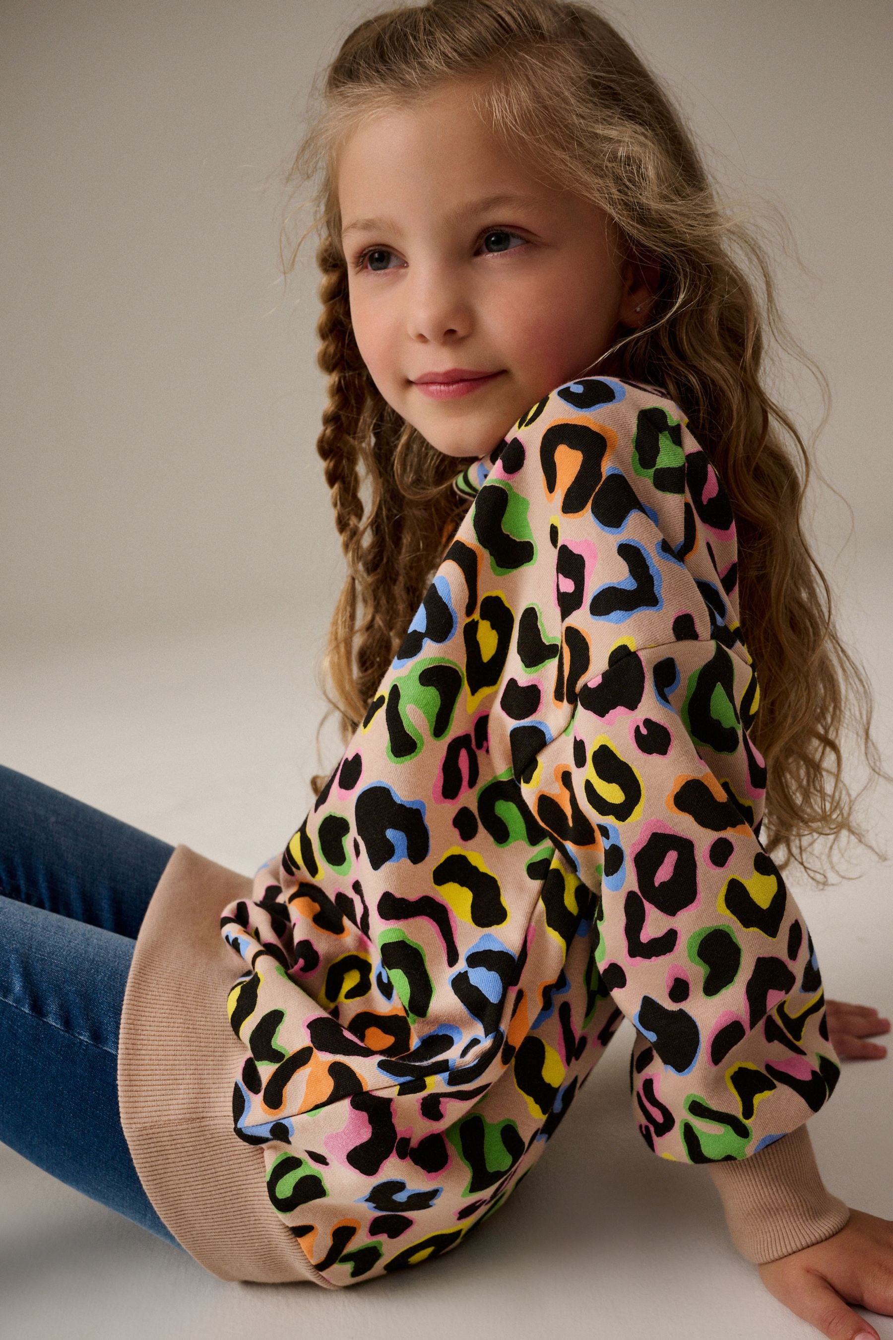 Animal Rainbow Sweatshirt (3-16yrs)