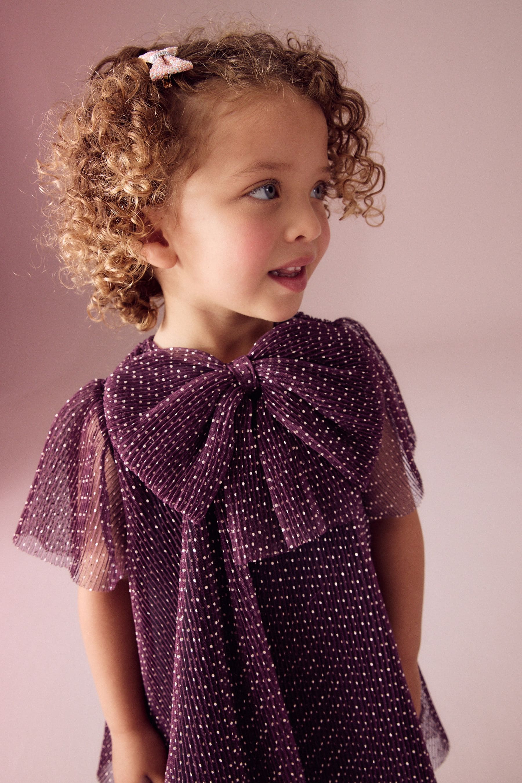 Plum Purple Sparkle Mesh Dress (3mths-7yrs)