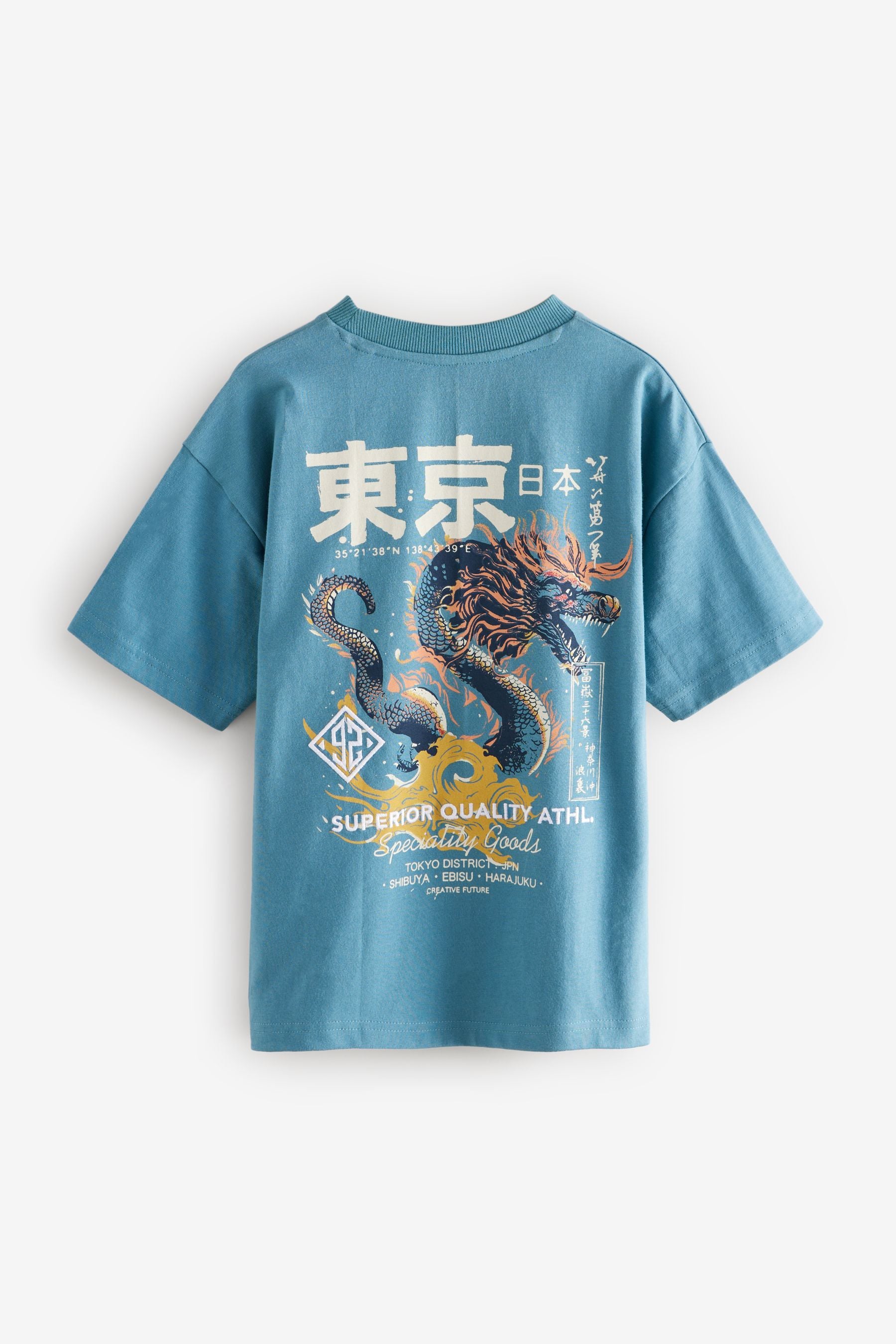 Teal Blue Dragon Back Print Relaxed Fit Short Sleeve Graphic T-Shirt (3-16yrs)