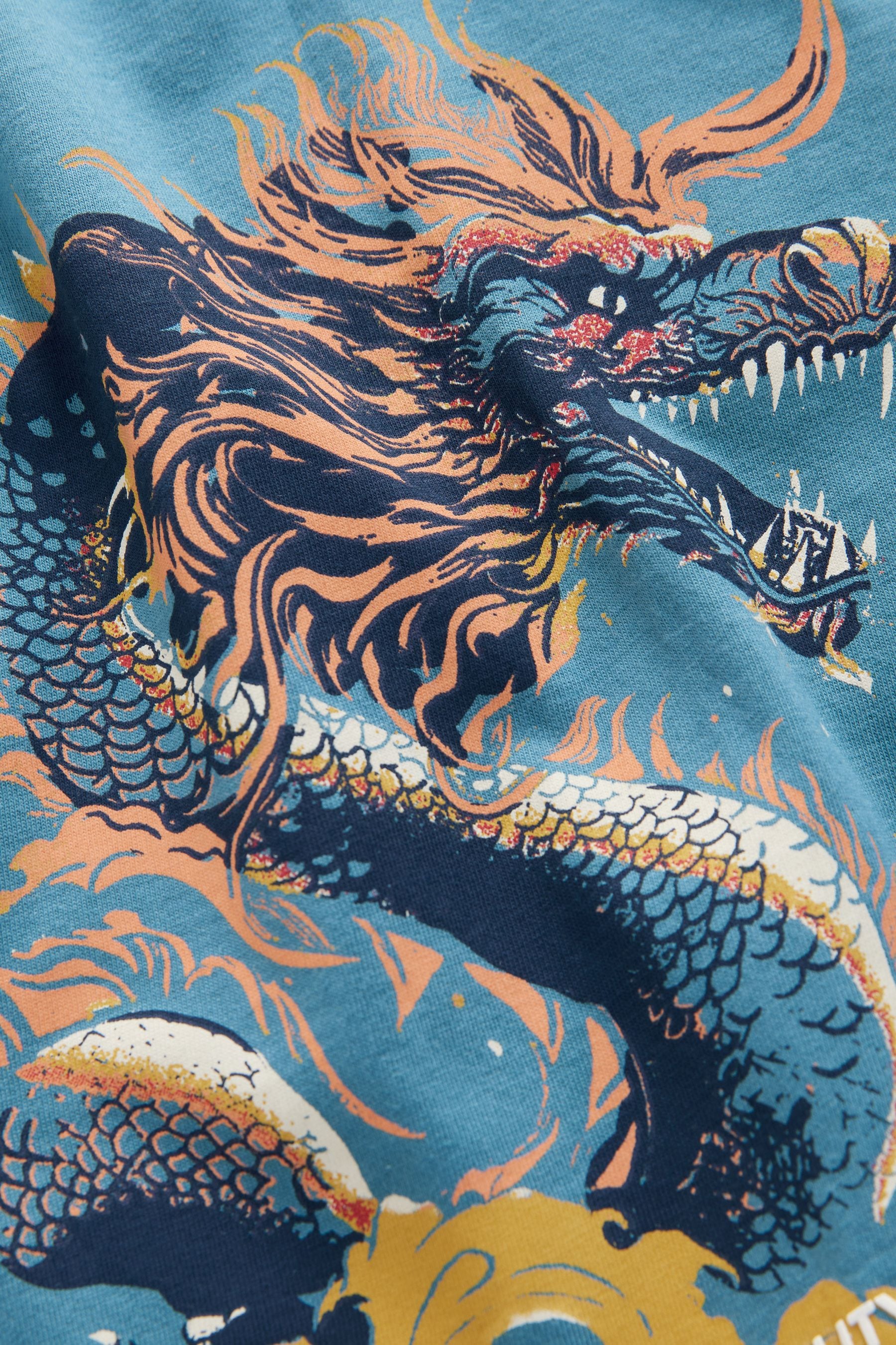 Teal Blue Dragon Back Print Relaxed Fit Short Sleeve Graphic T-Shirt (3-16yrs)