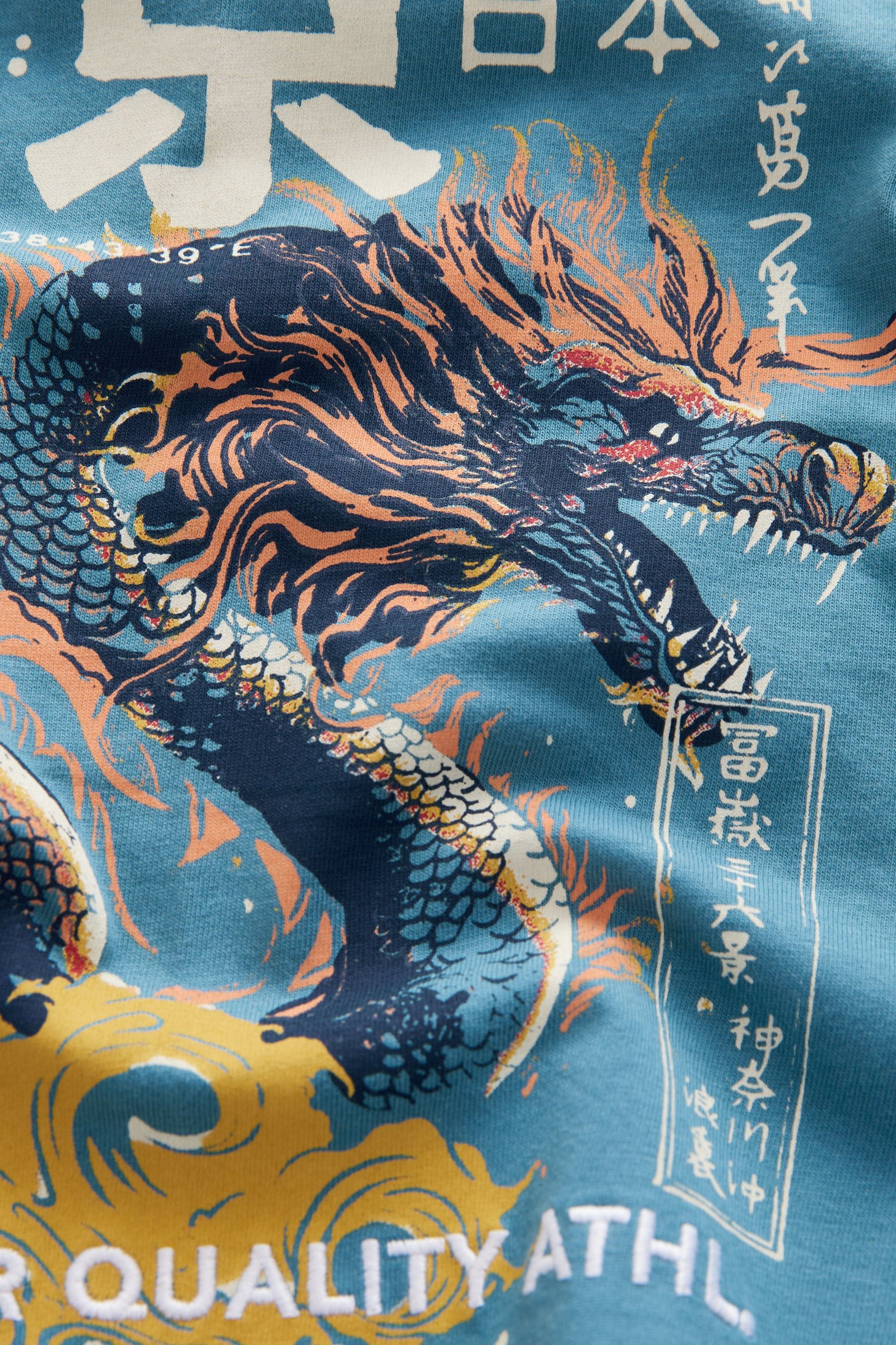 Teal Blue Dragon Back Print Relaxed Fit Short Sleeve Graphic T-Shirt (3-16yrs)