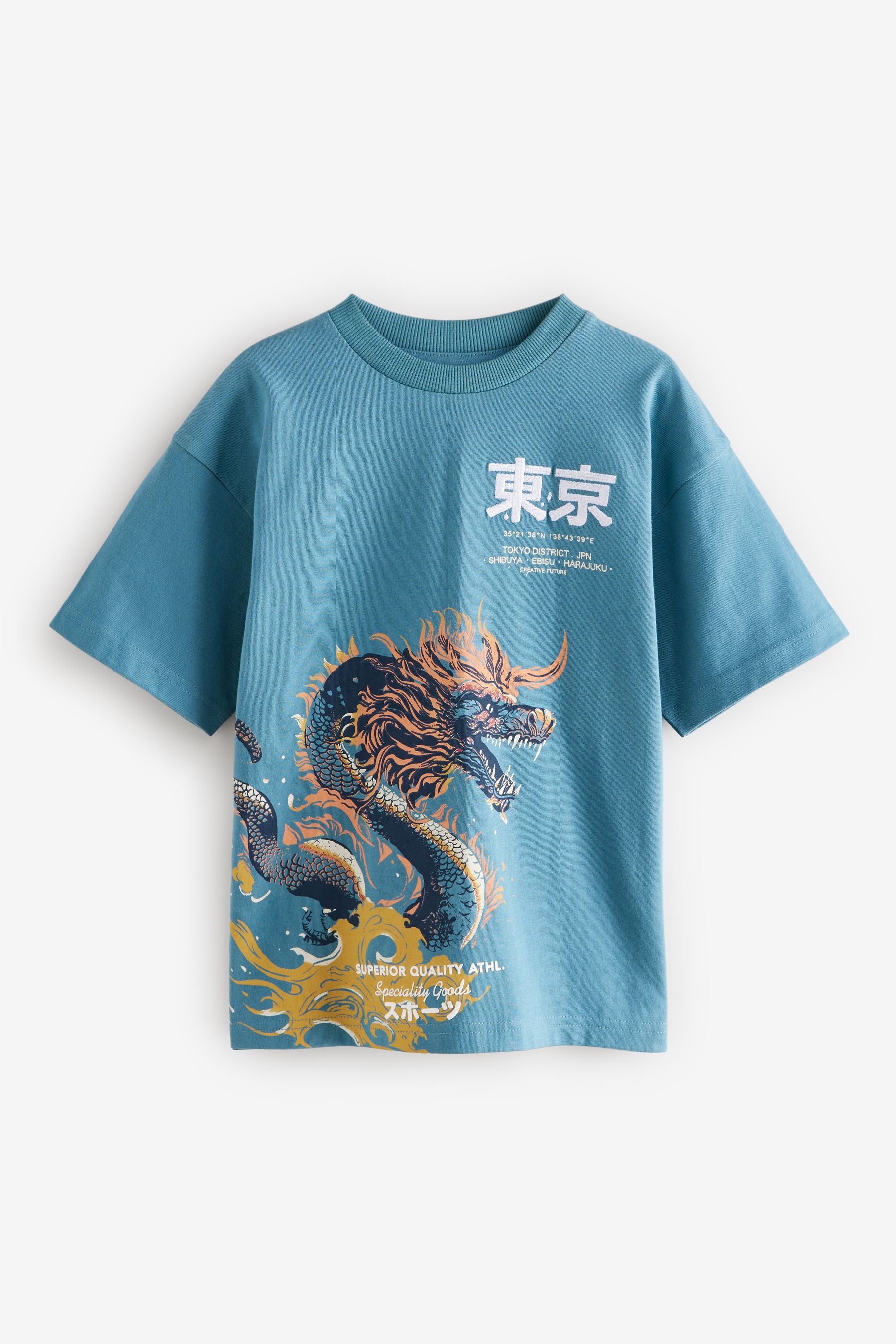 Teal Blue Dragon Back Print Relaxed Fit Short Sleeve Graphic T-Shirt (3-16yrs)