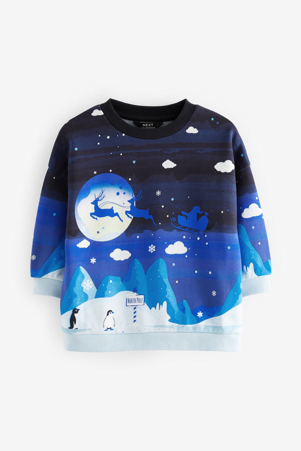 Navy Reindeer Scene Christmas Crew Neck 100% Cotton Sweatshirt (3mths-7yrs)