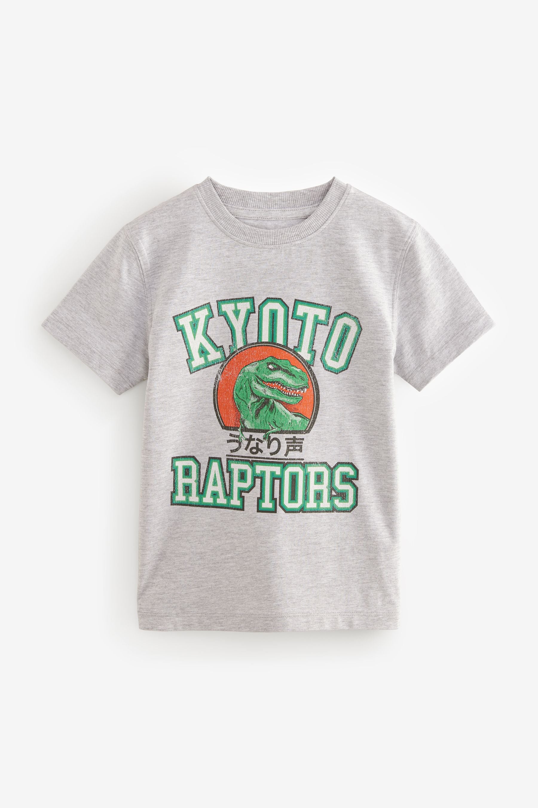 Grey Raptors Short Sleeve Graphic 100% Cotton T-Shirt (3-16yrs)