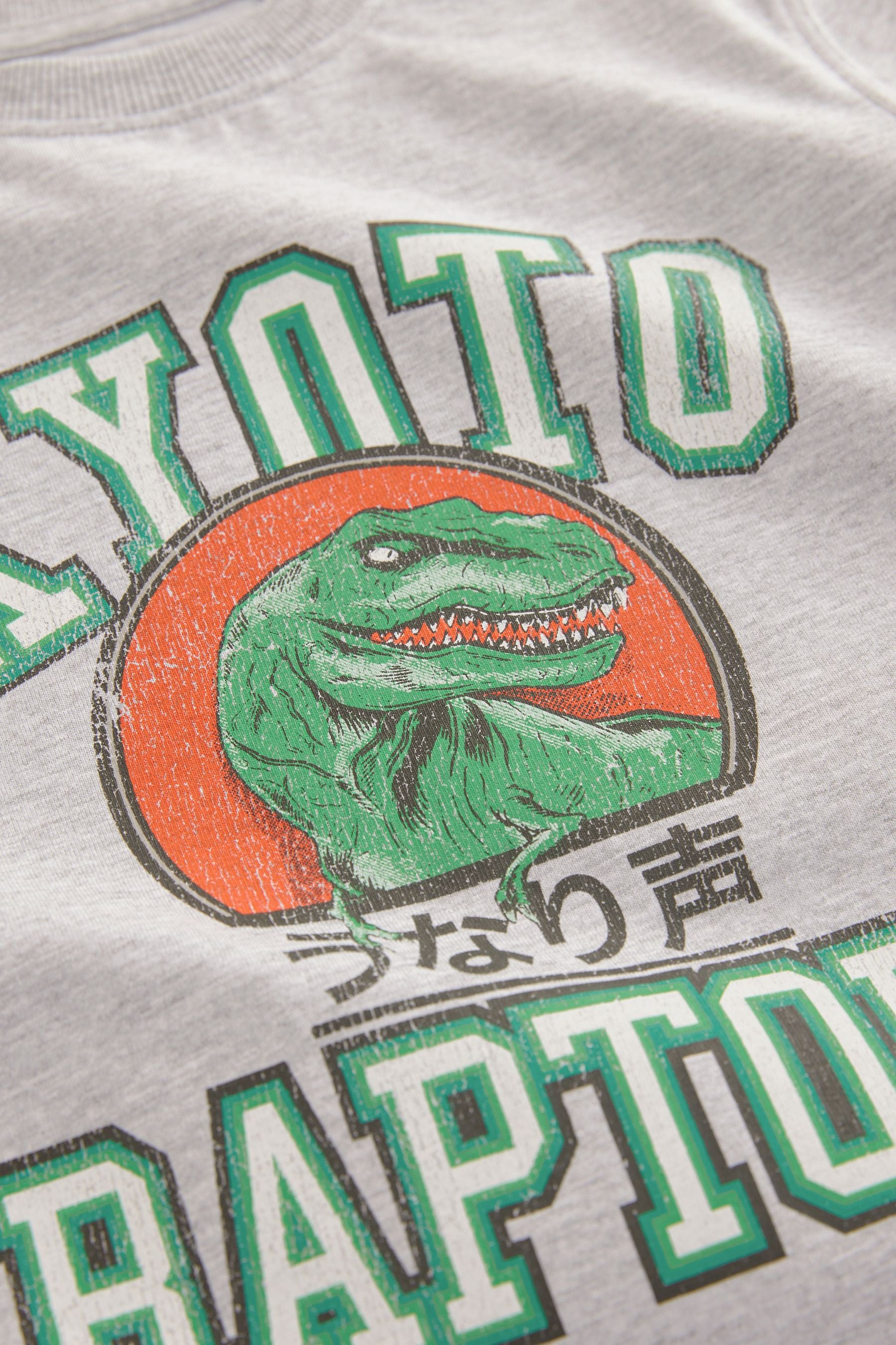 Grey Raptors Short Sleeve Graphic 100% Cotton T-Shirt (3-16yrs)