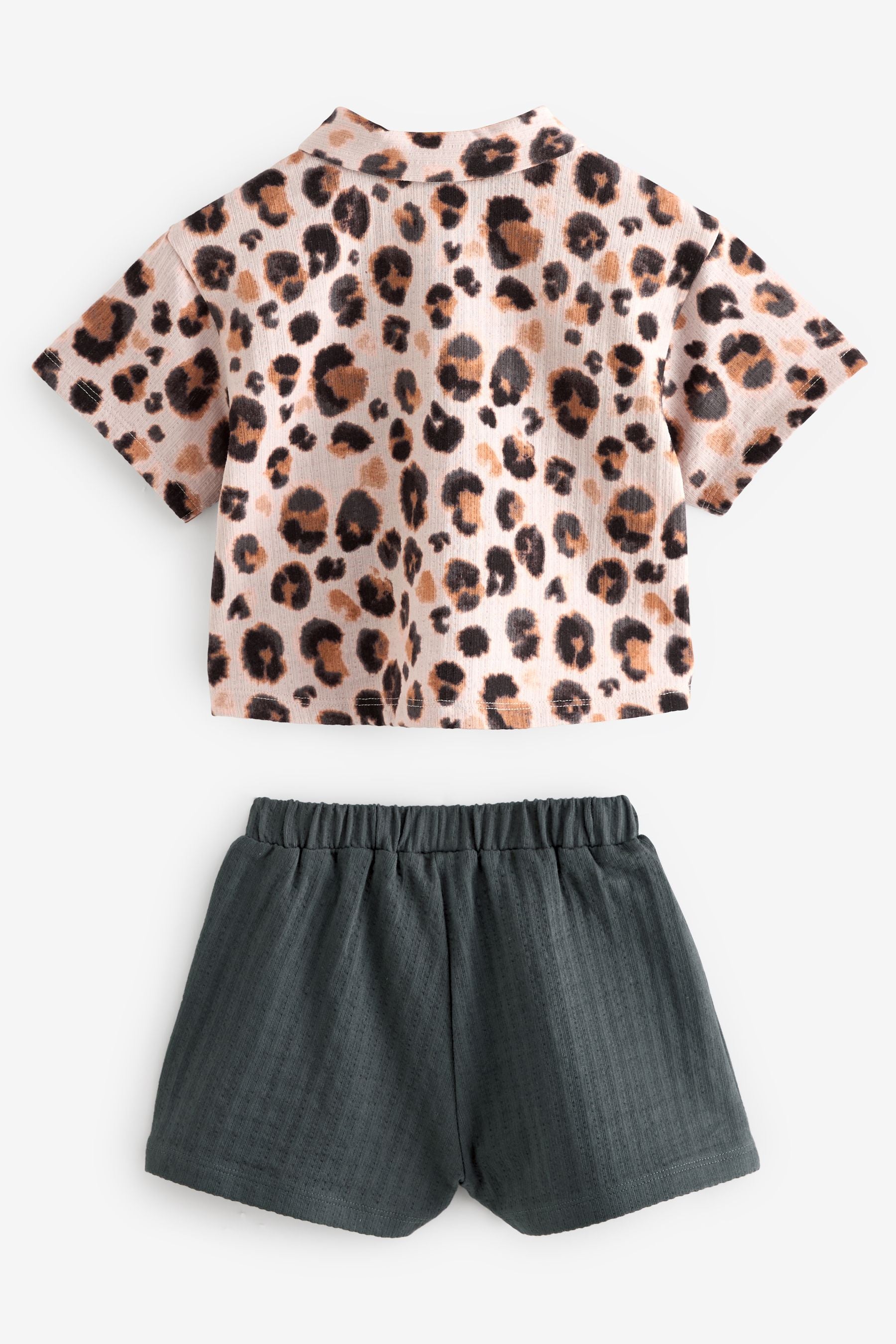 Brown Leopard Print Short Sleeve Shirt and Shorts Set (3mths-7yrs)