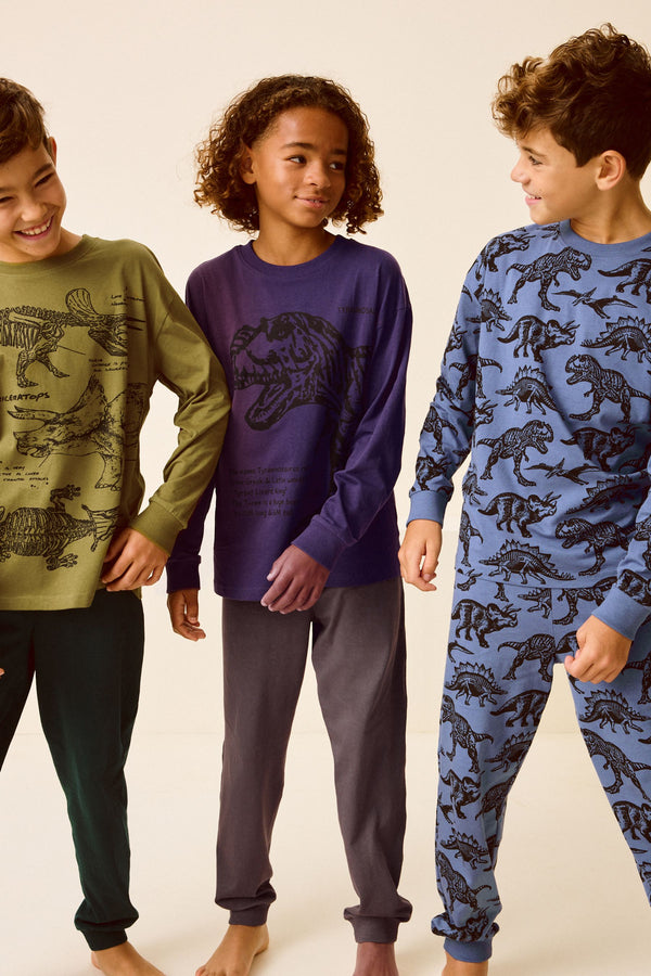 Olive Green/Blue/Purple Dinosaur 3 Pack 100% Cotton Long Sleeve Pyjamas (3-16yrs)