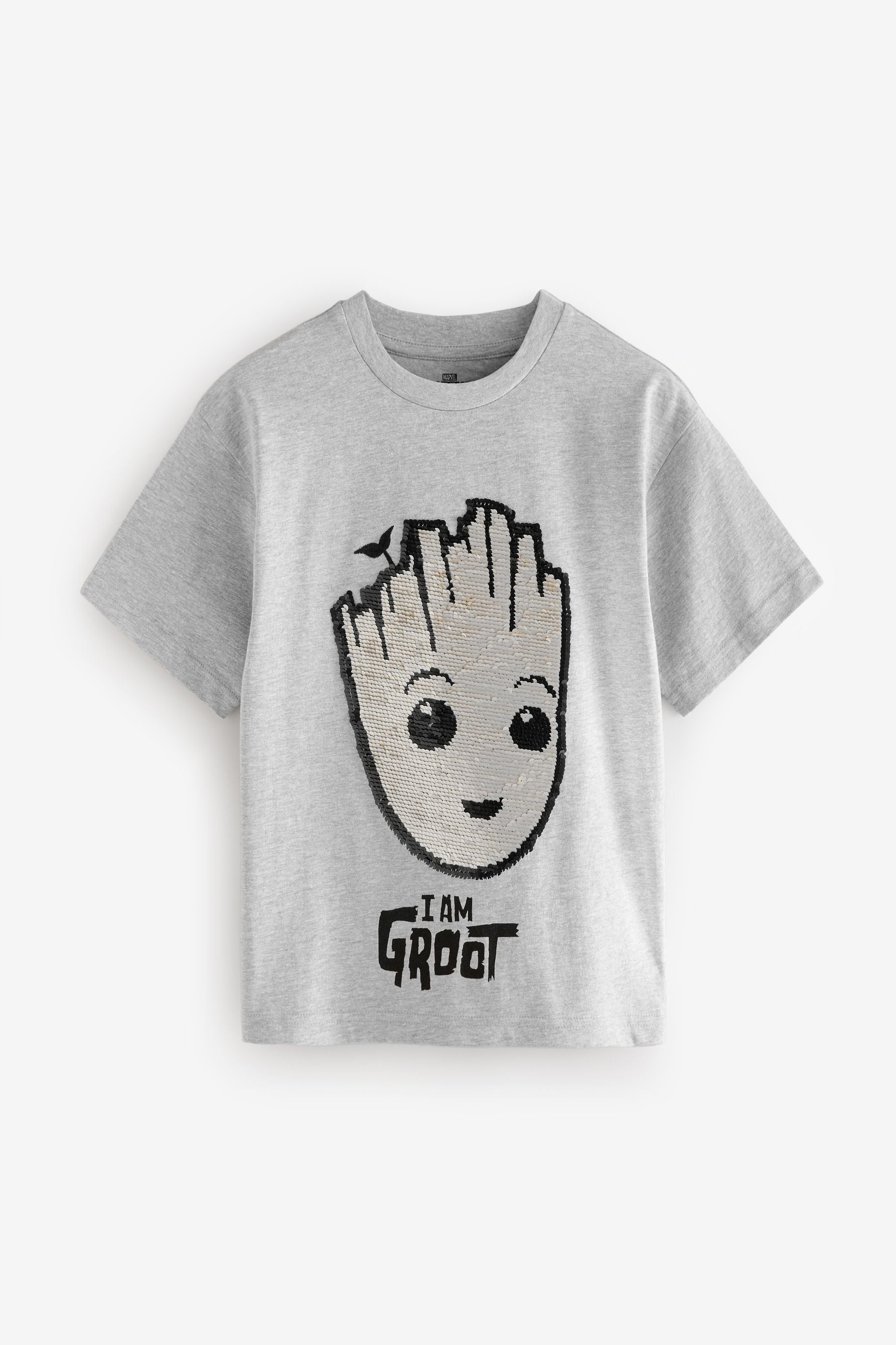 Grey Flip Sequin Licensed Groot T-Shirt (3-14yrs)