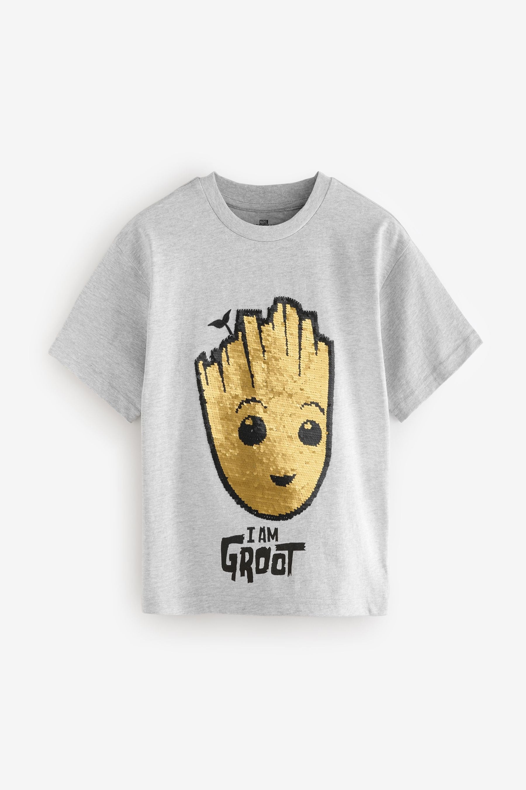 Grey Flip Sequin Licensed Groot T-Shirt (3-14yrs)