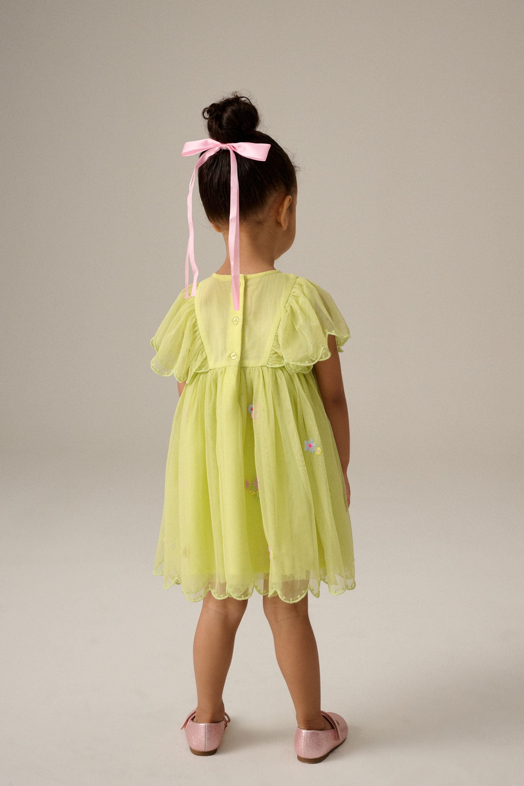 Green Embroidered Mesh Party Dress (3mths-7yrs)