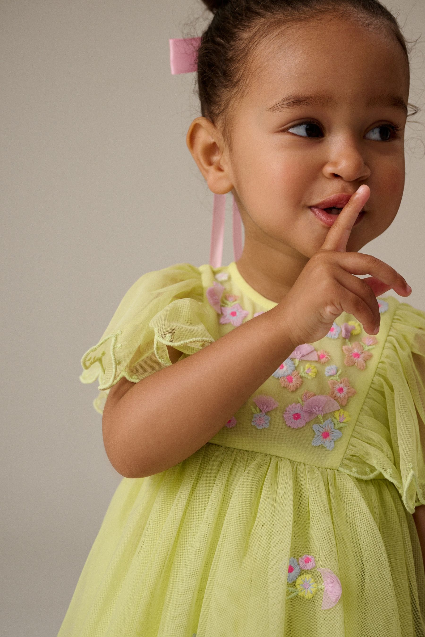 Green Embroidered Mesh Party Dress (3mths-7yrs)