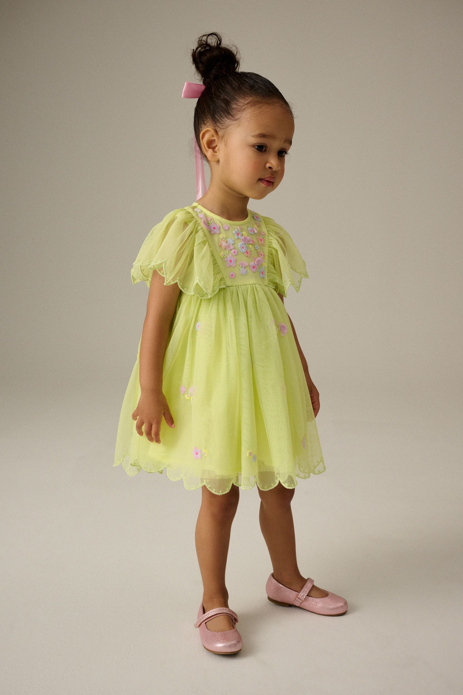 Green Embroidered Mesh Party Dress (3mths-7yrs)