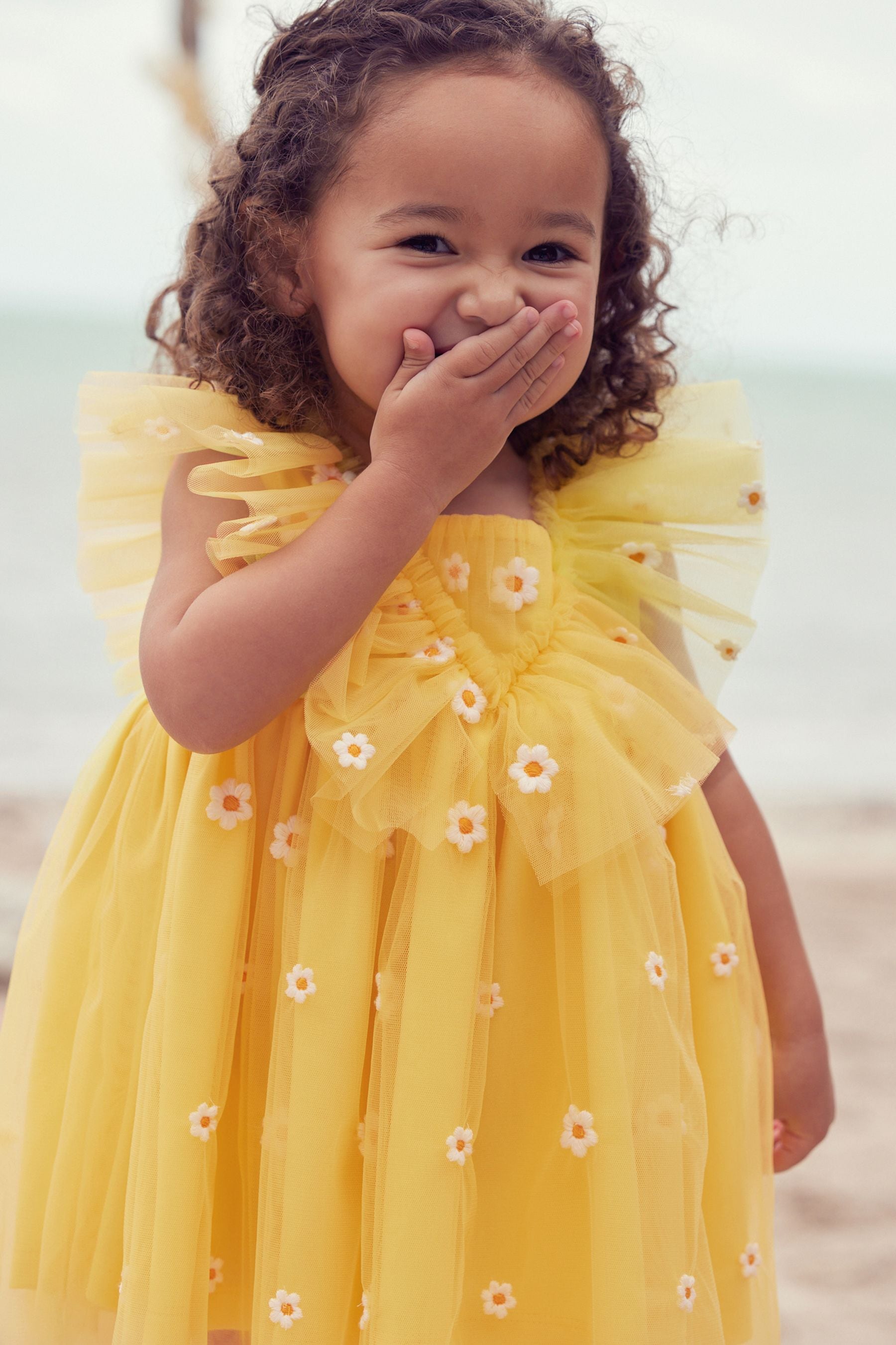 Yellow Daisy Embroidered Ruffle Mesh Dress (3mths-10yrs)