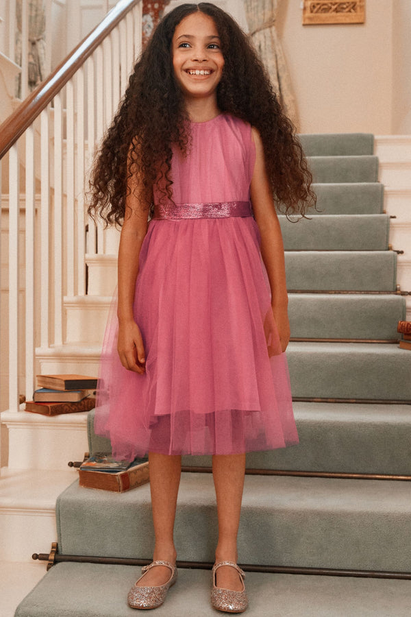 Rose Pink Mesh Tie Back Party Dress (3-16yrs)