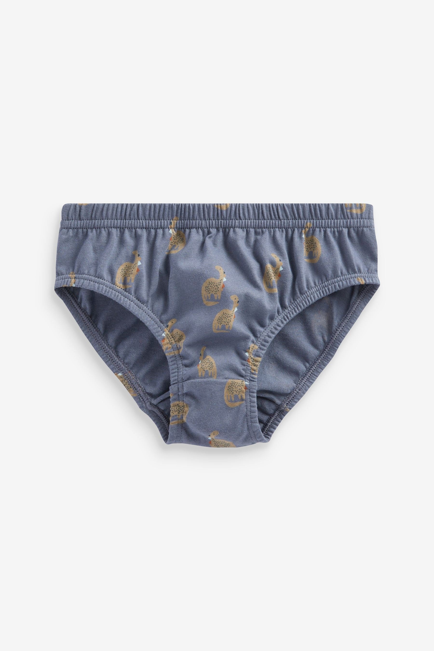 Neutral Dinosaur 100% Cotton Briefs 7 Pack (1.5-10yrs)