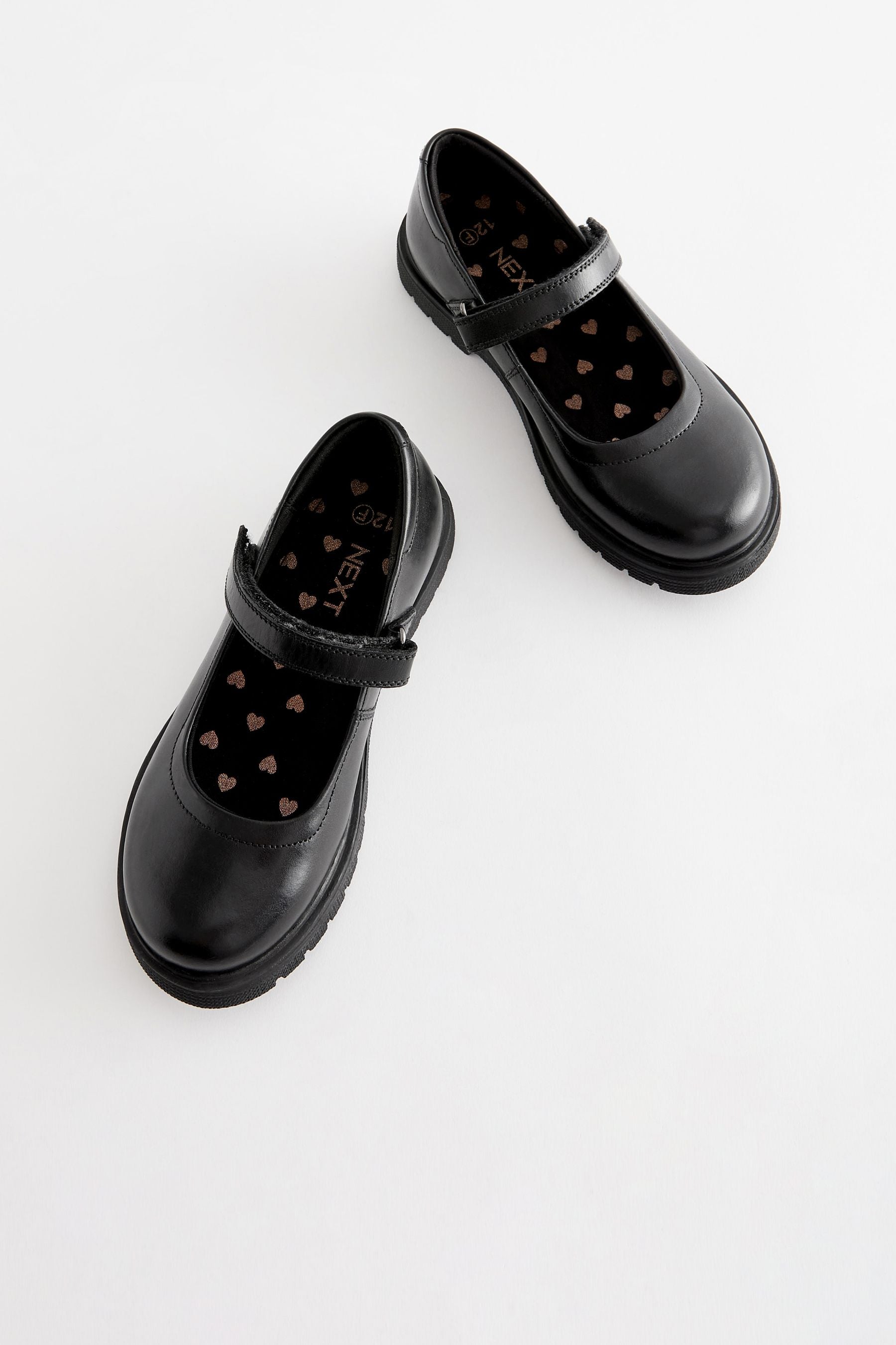 Matt Black Standard Fit (F) School Leather Chunky Mary Jane Shoes