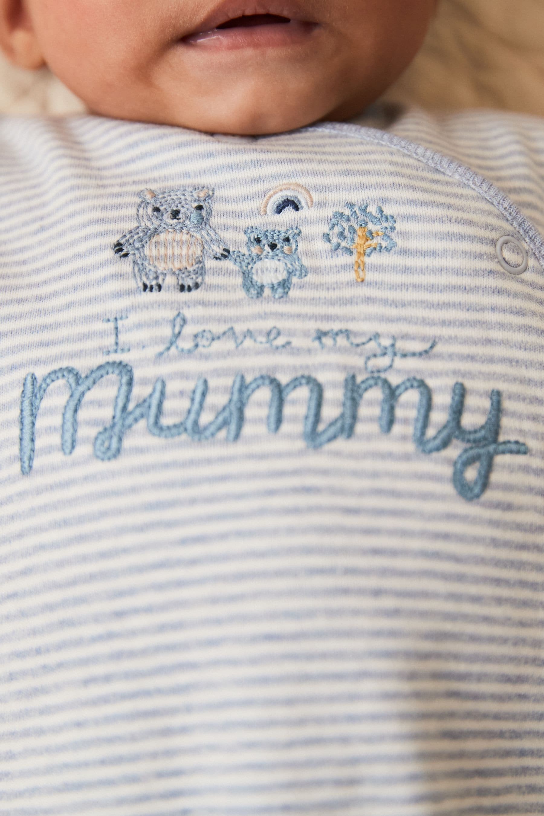 Blue/White 100% Cotton Bear Family Sleepsuit (0-2yrs)