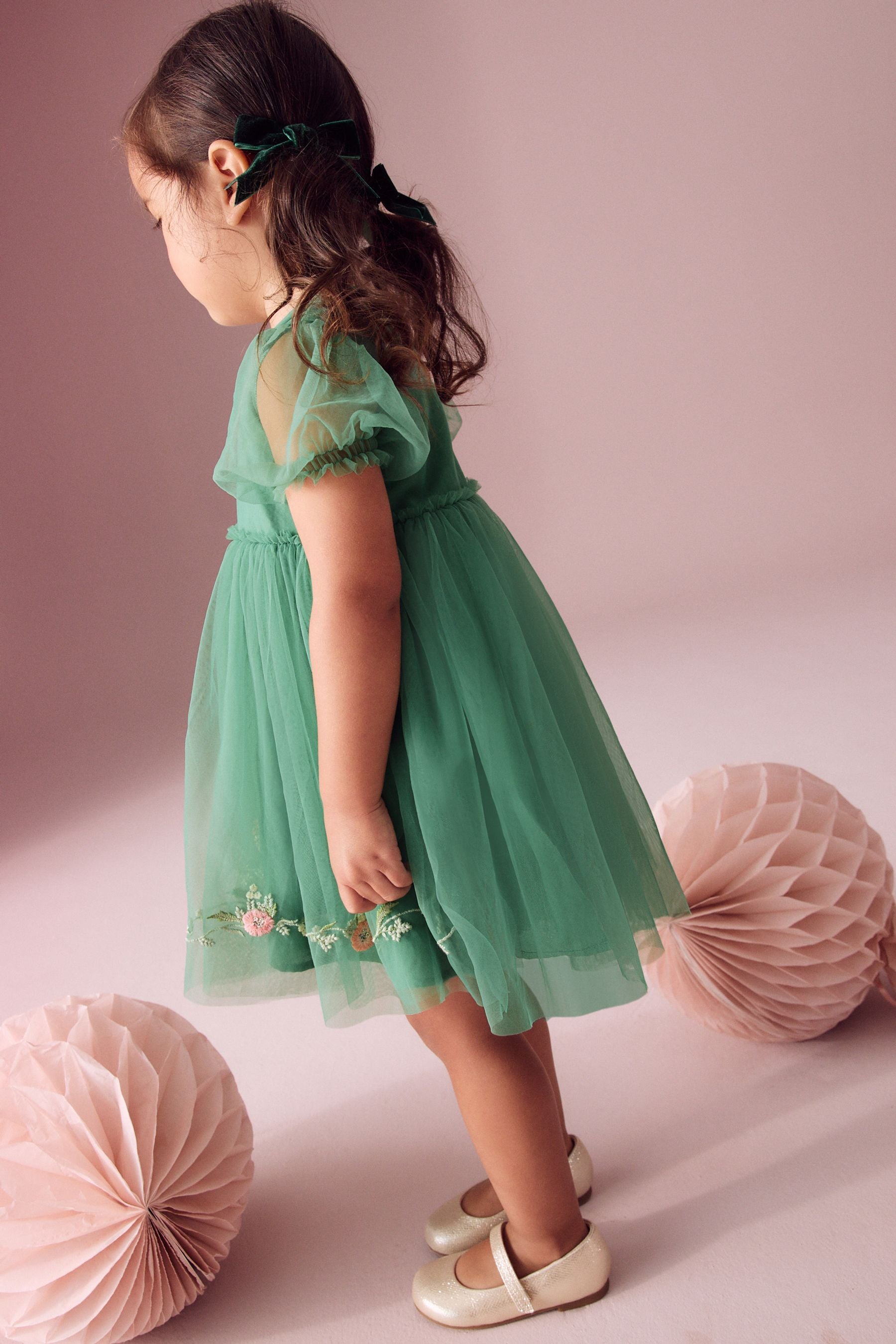 Green Embroidered Mesh Party Dress (3mths-10yrs)