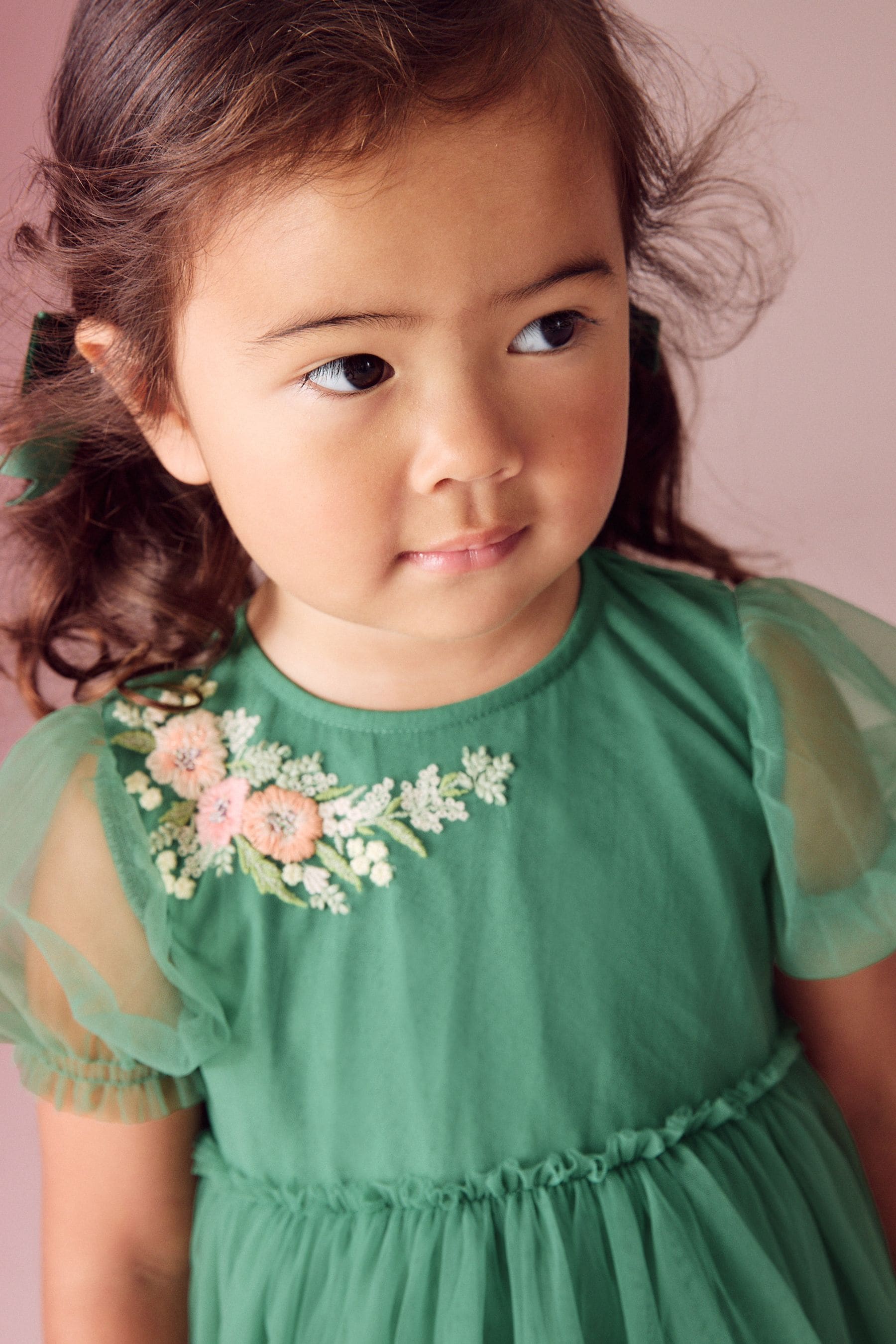 Green Embroidered Mesh Party Dress (3mths-10yrs)