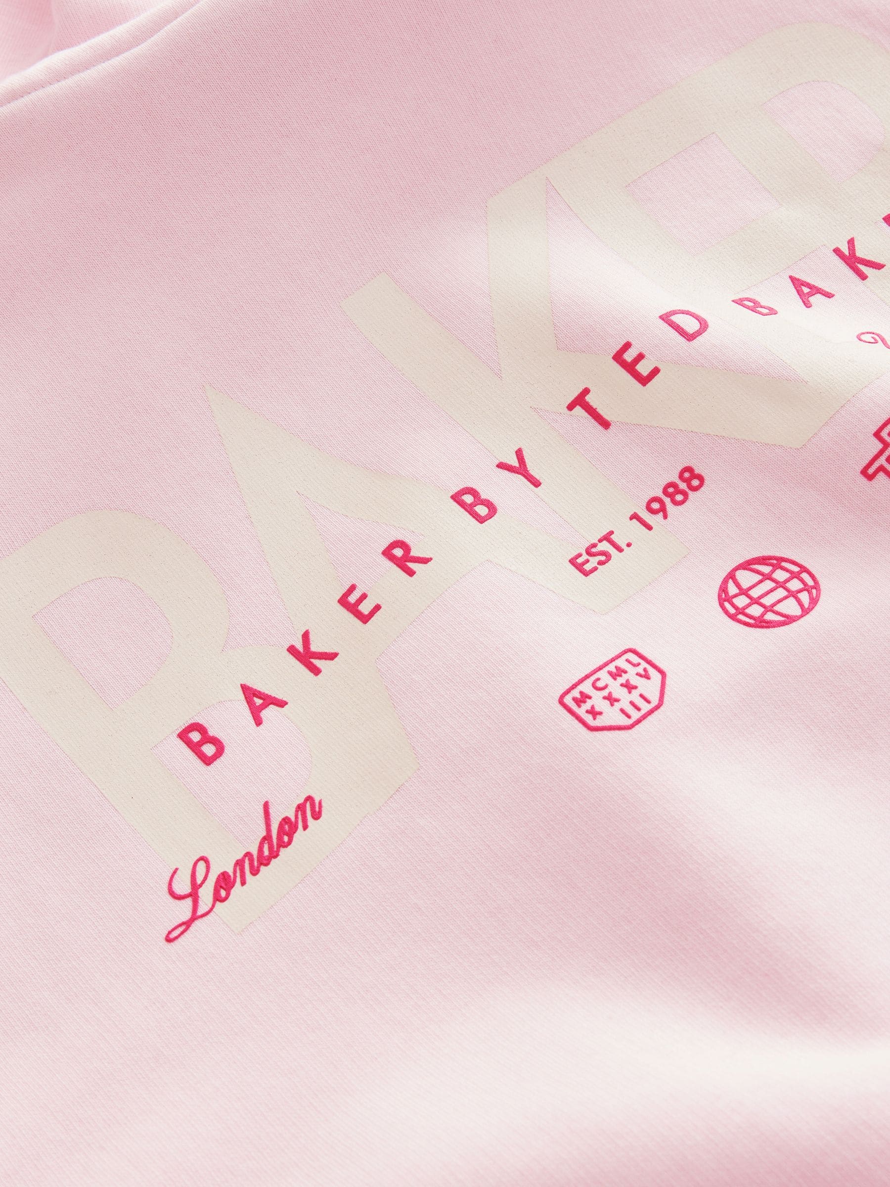 Baker by Ted Baker Back Print Logo Hoodie