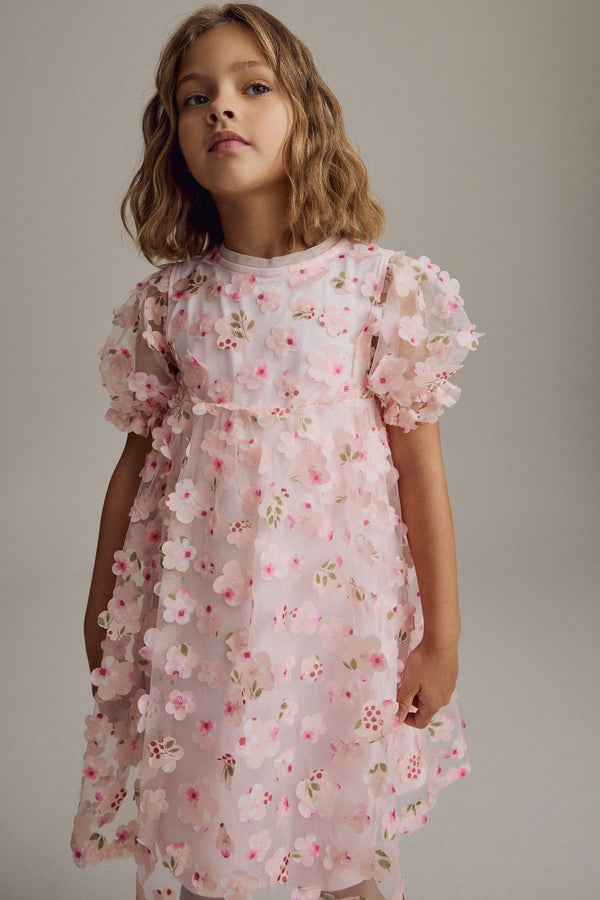 Pink Printed Mesh Flower Party Dress (3-16yrs)